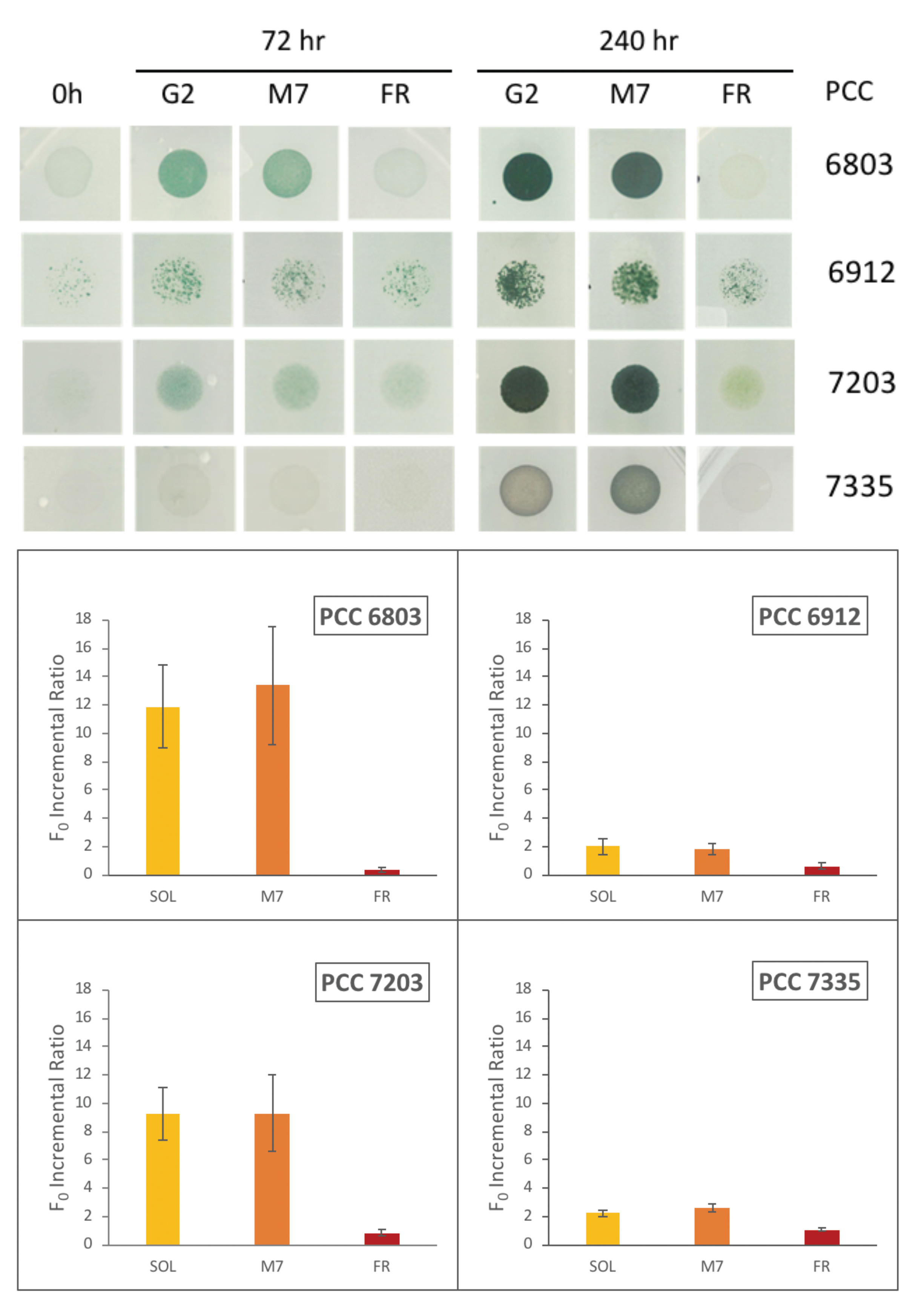 Life 11 00010 g005 Life 11 00010 g005