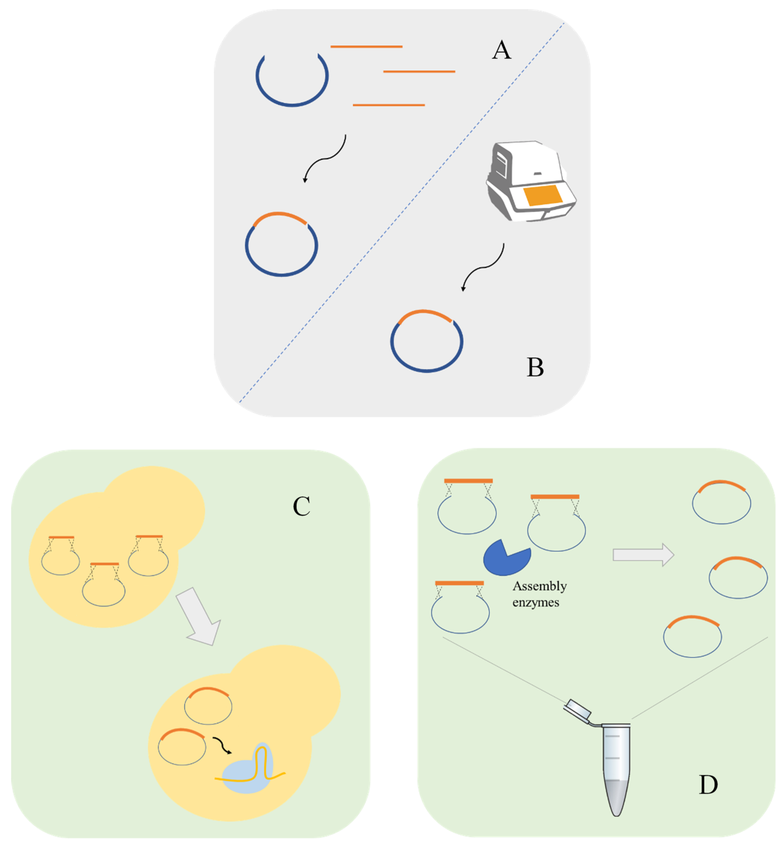 Life 11 00013 g002 Life 11 00013 g002