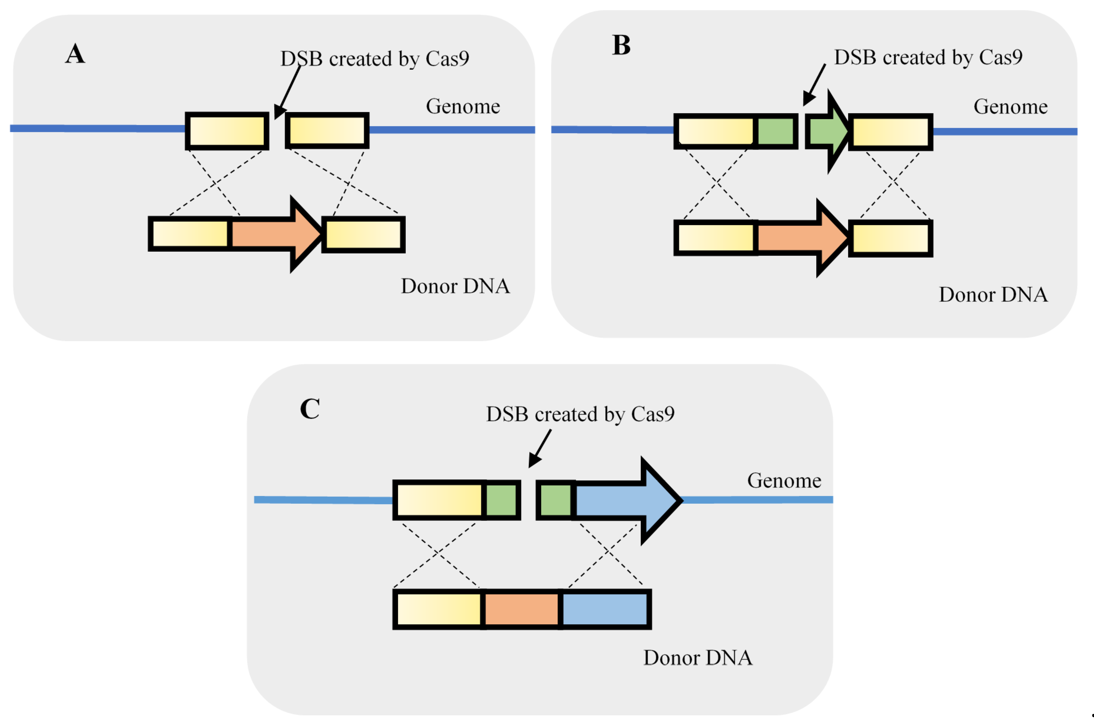 Life 11 00013 g004 Life 11 00013 g004