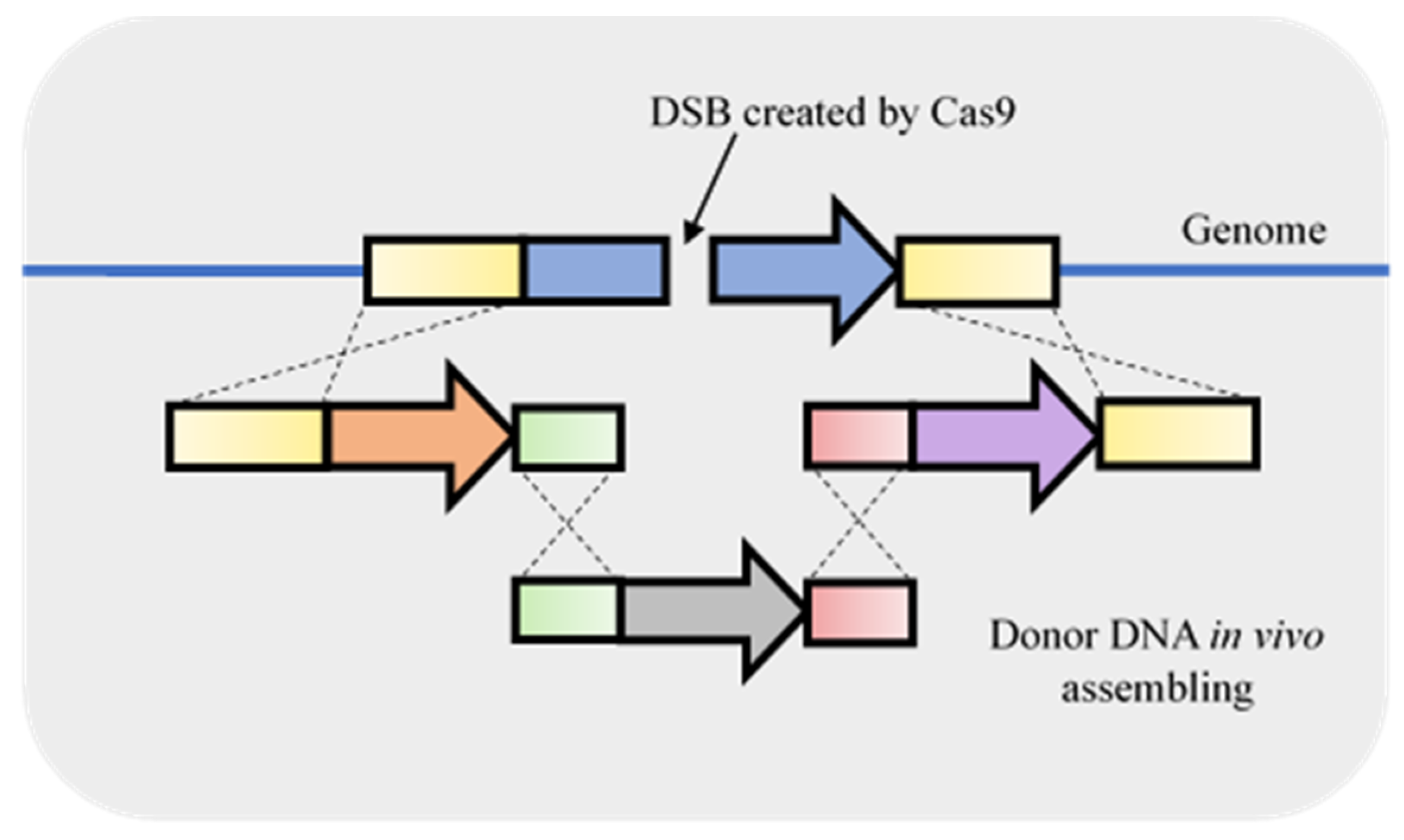 Life 11 00013 g005 Life 11 00013 g005