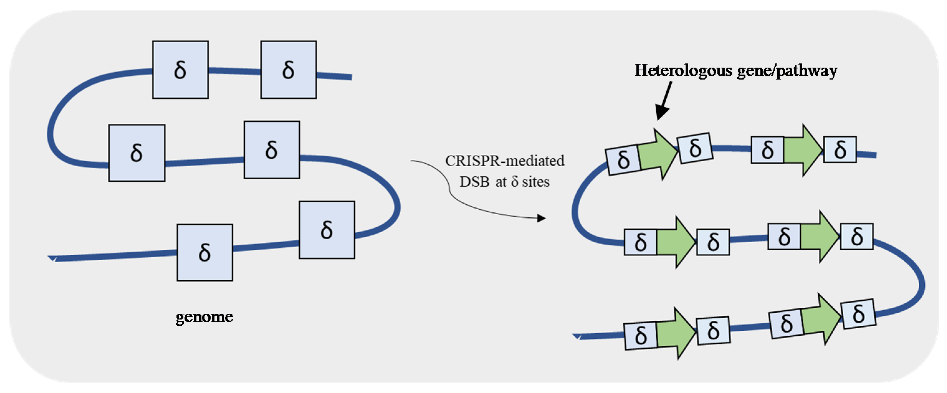 Life 11 00013 g006 Life 11 00013 g006