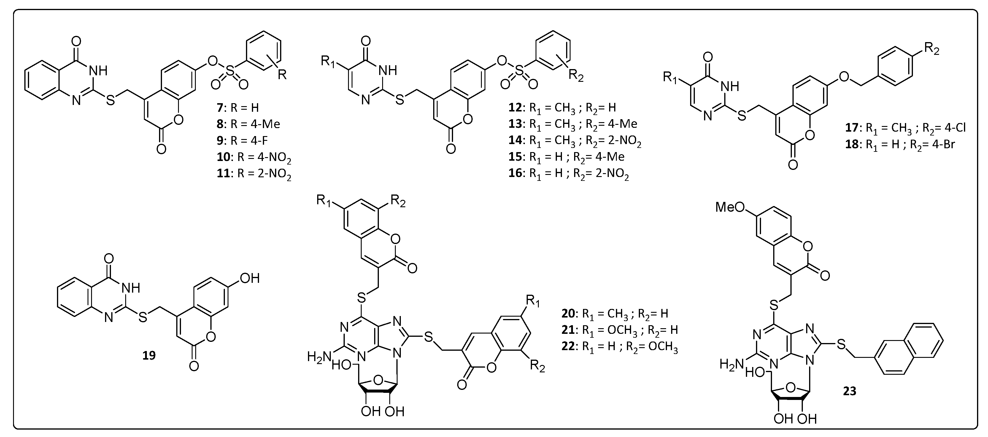 Life 11 00016 g002 Life 11 00016 g002
