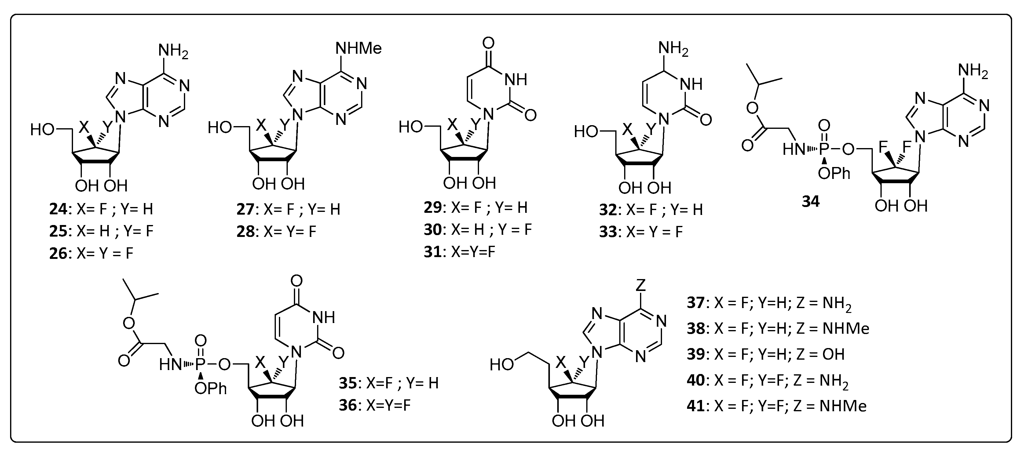 Life 11 00016 g003 Life 11 00016 g003