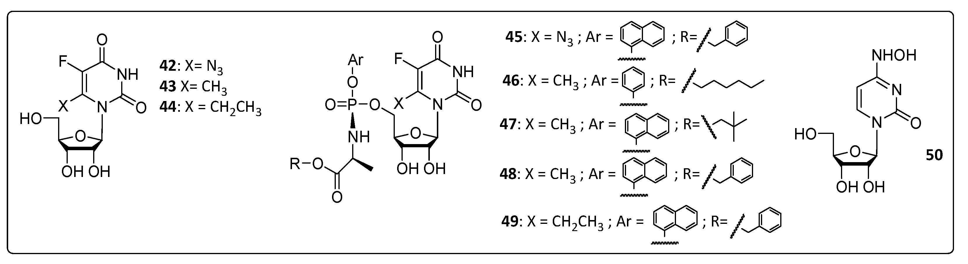 Life 11 00016 g004 Life 11 00016 g004
