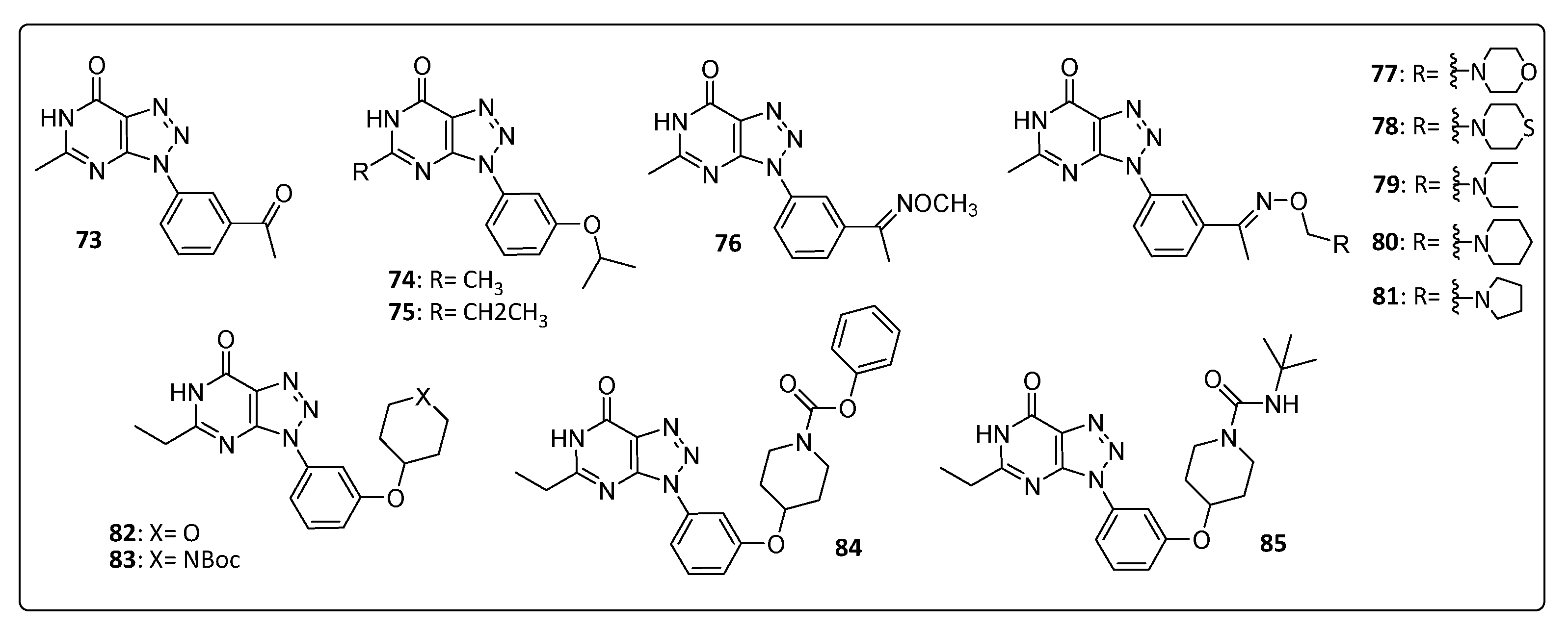 Life 11 00016 g008 Life 11 00016 g008