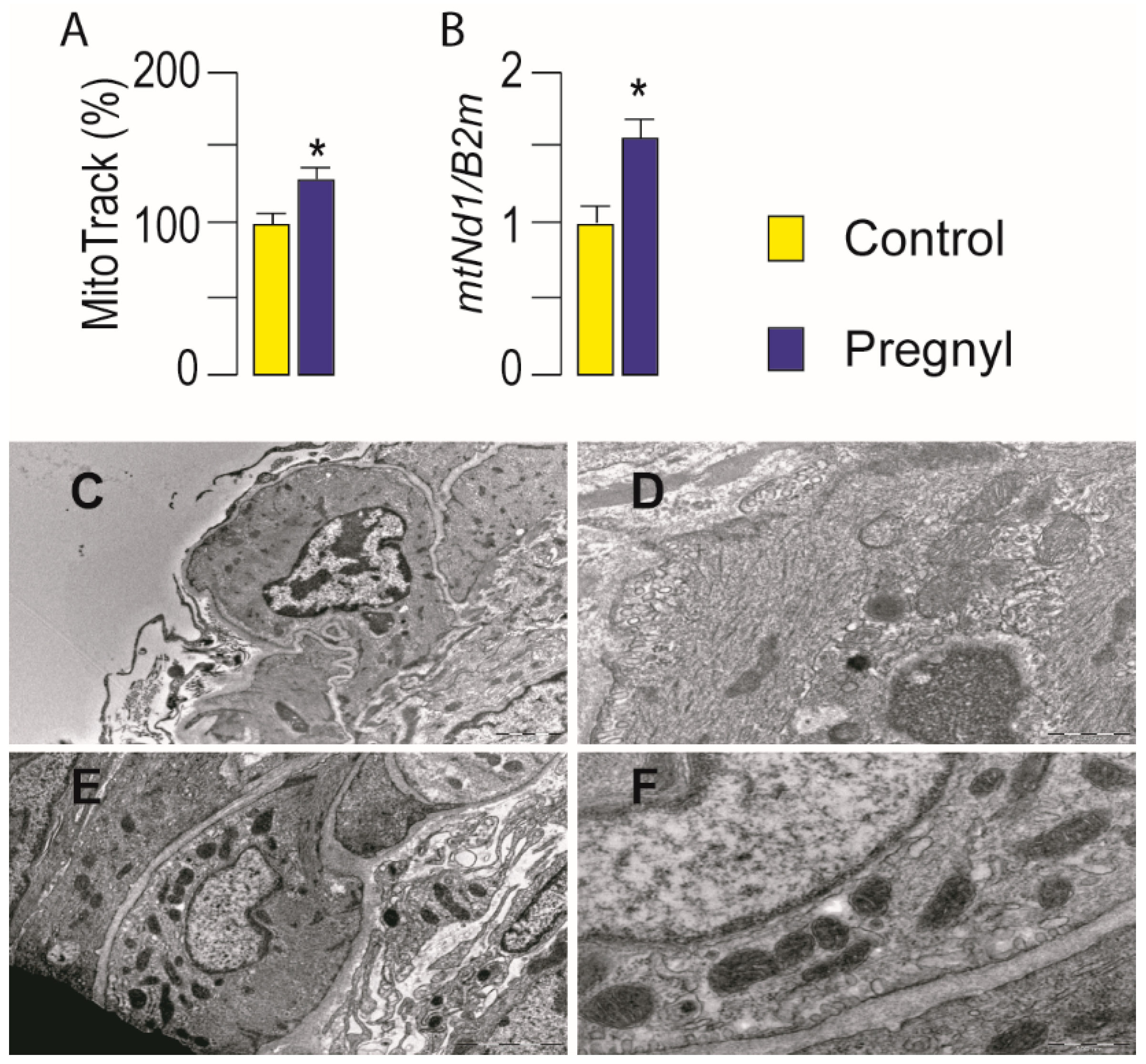 Life 11 00019 g005 Life 11 00019 g005