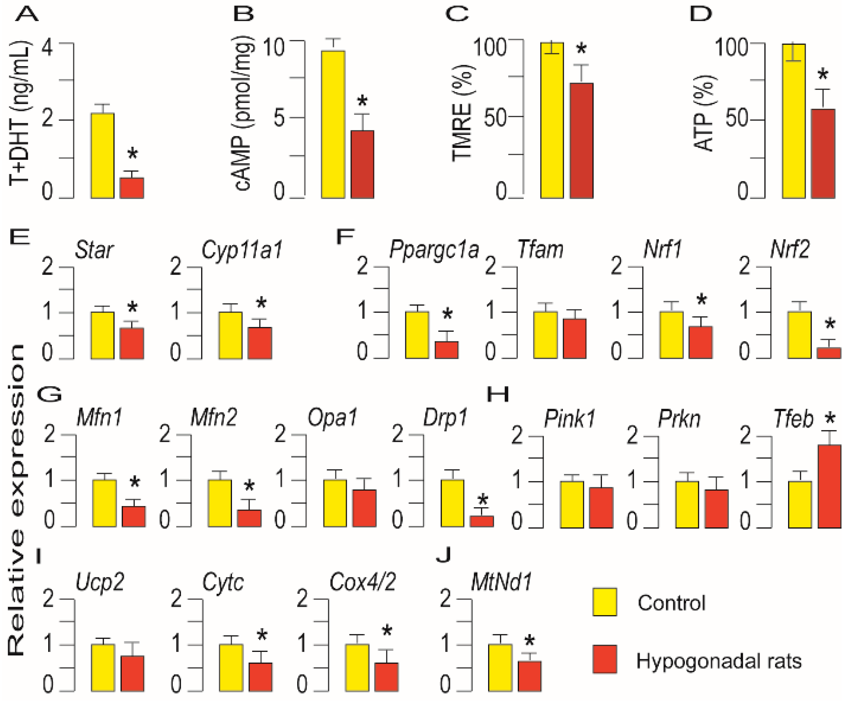 Life 11 00019 g006 Life 11 00019 g006