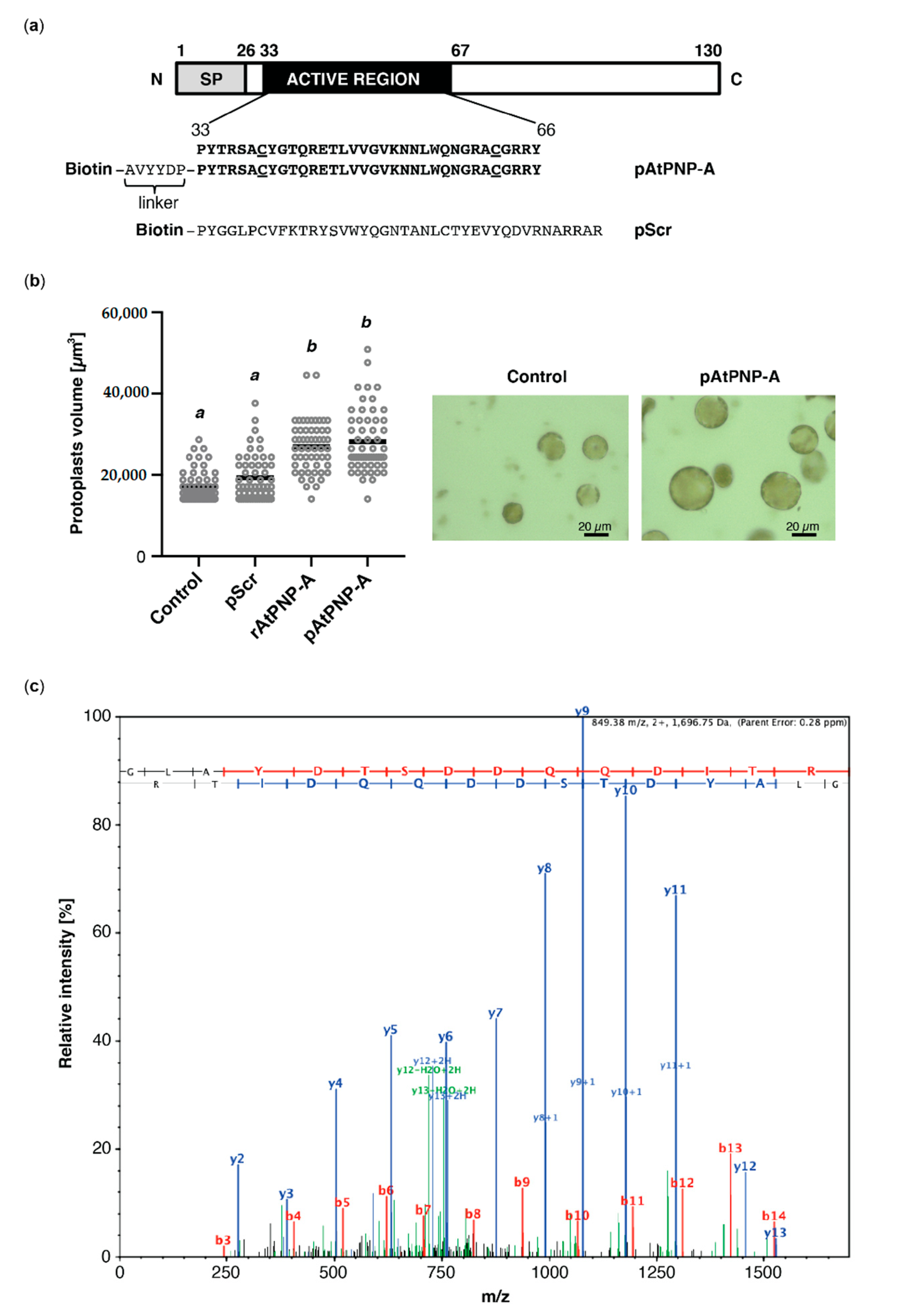 Life 11 00021 g001 Life 11 00021 g001