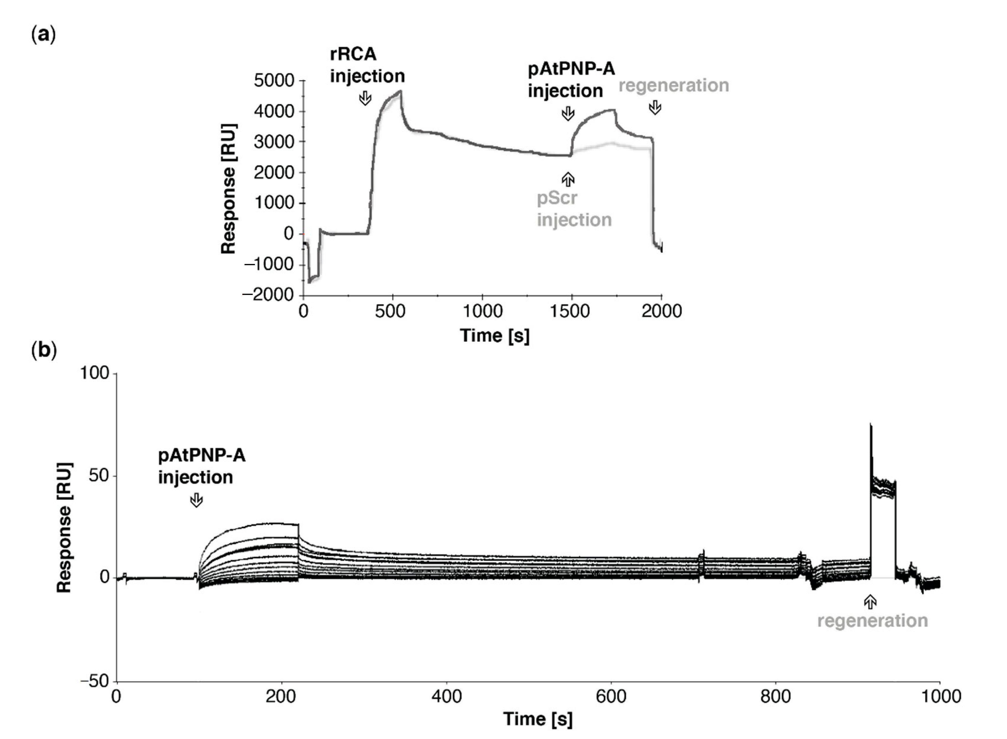 Life 11 00021 g003 Life 11 00021 g003