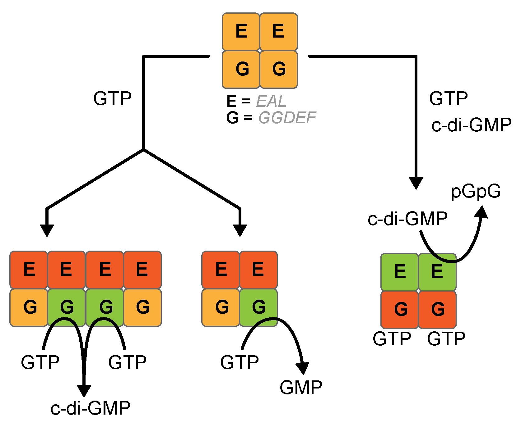 Life 11 00031 g006 Life 11 00031 g006