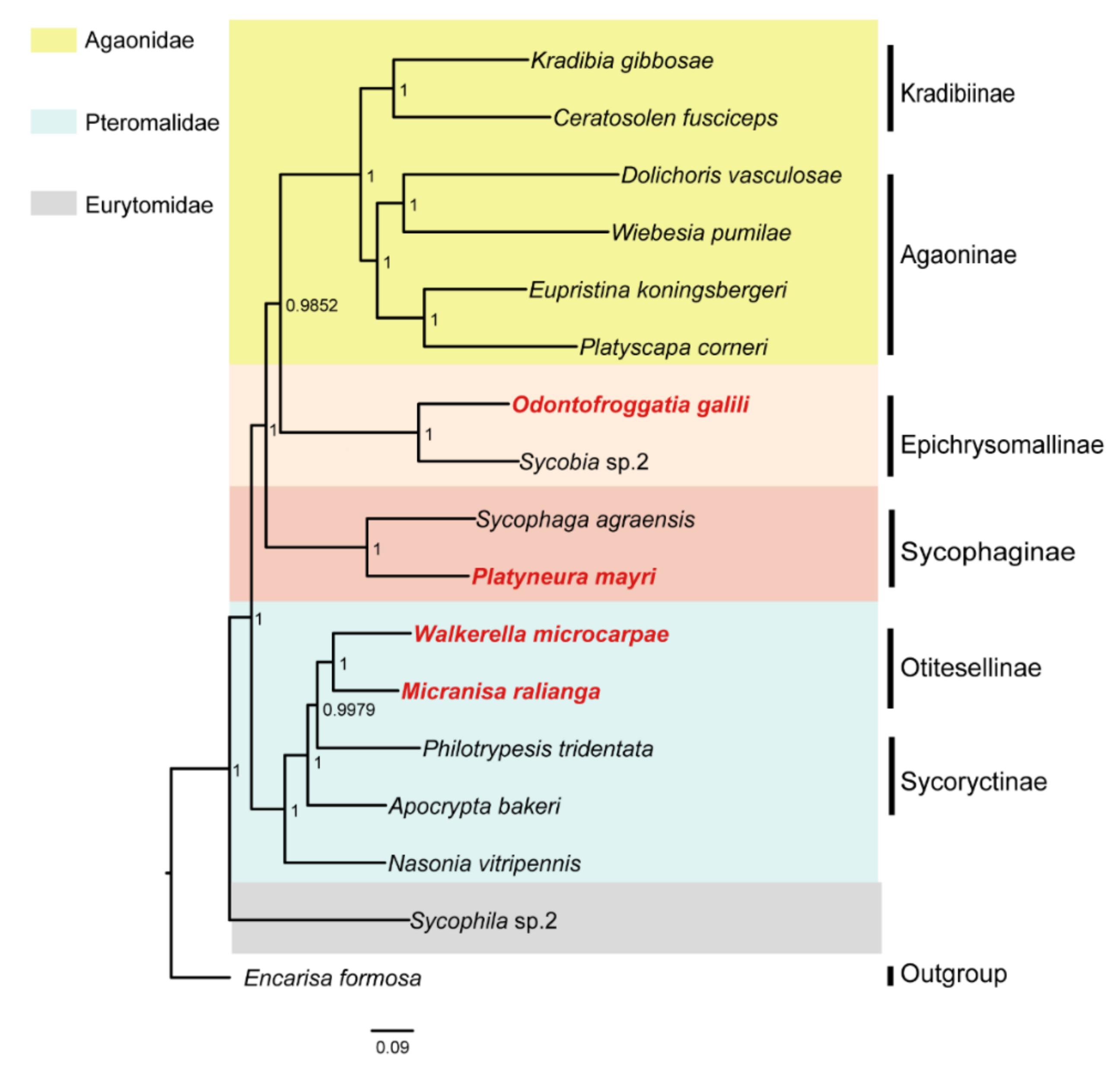 Life 11 00040 g003 Life 11 00040 g003