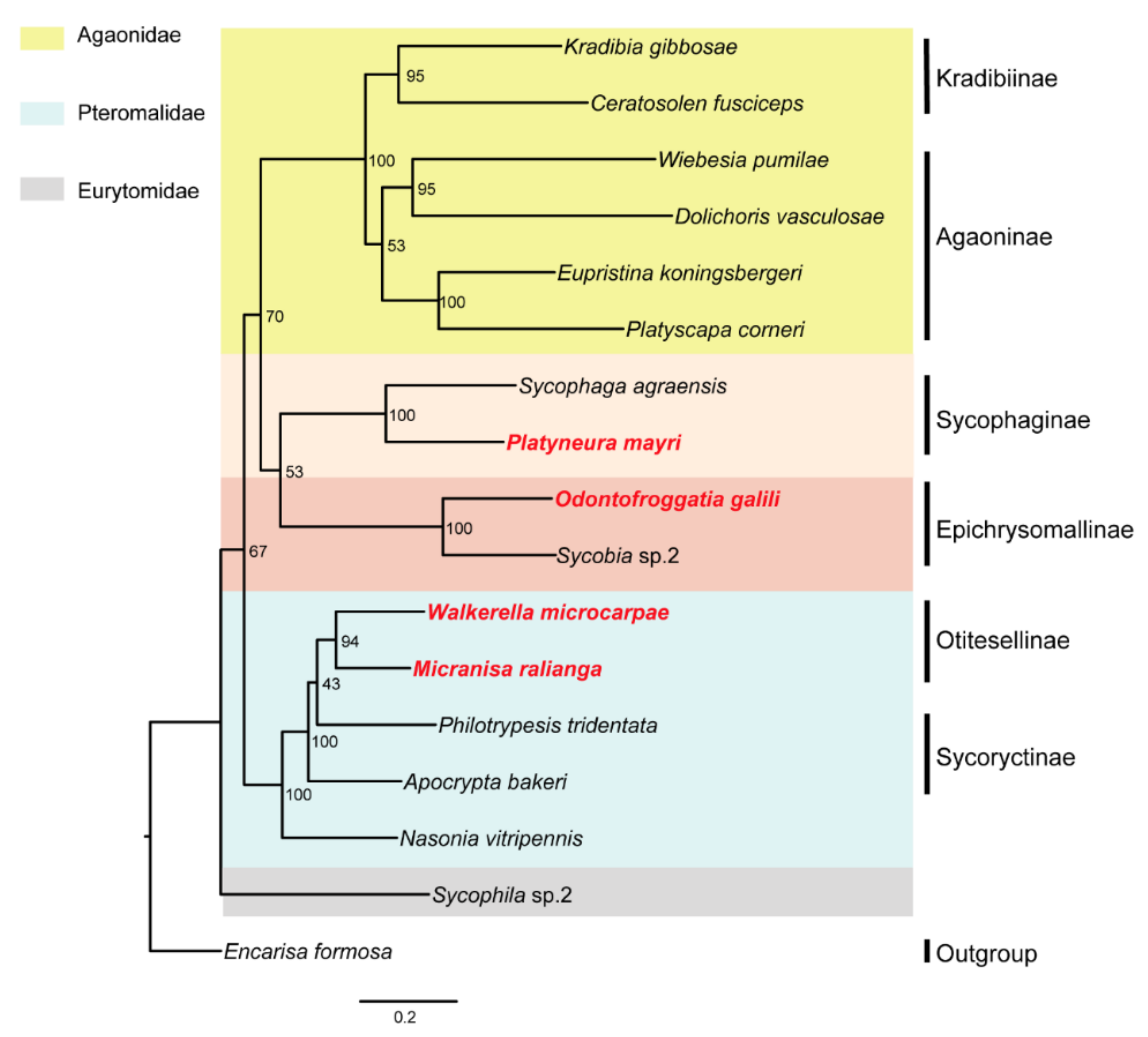 Life 11 00040 g004 Life 11 00040 g004