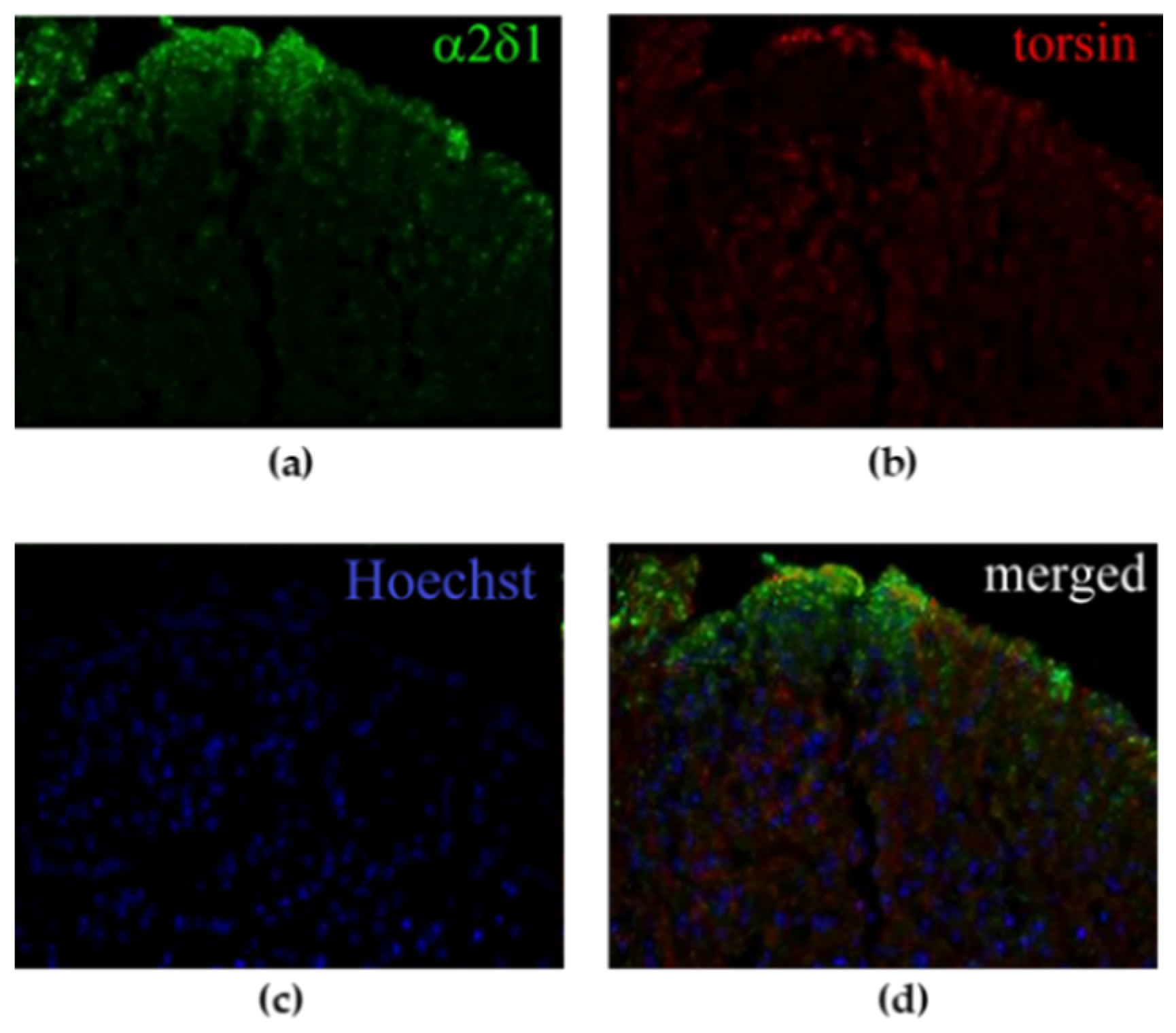 Life 11 00041 g002 Life 11 00041 g002