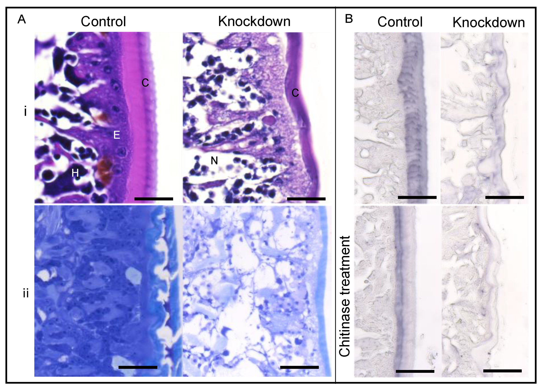 Life 11 00047 g007 Life 11 00047 g007