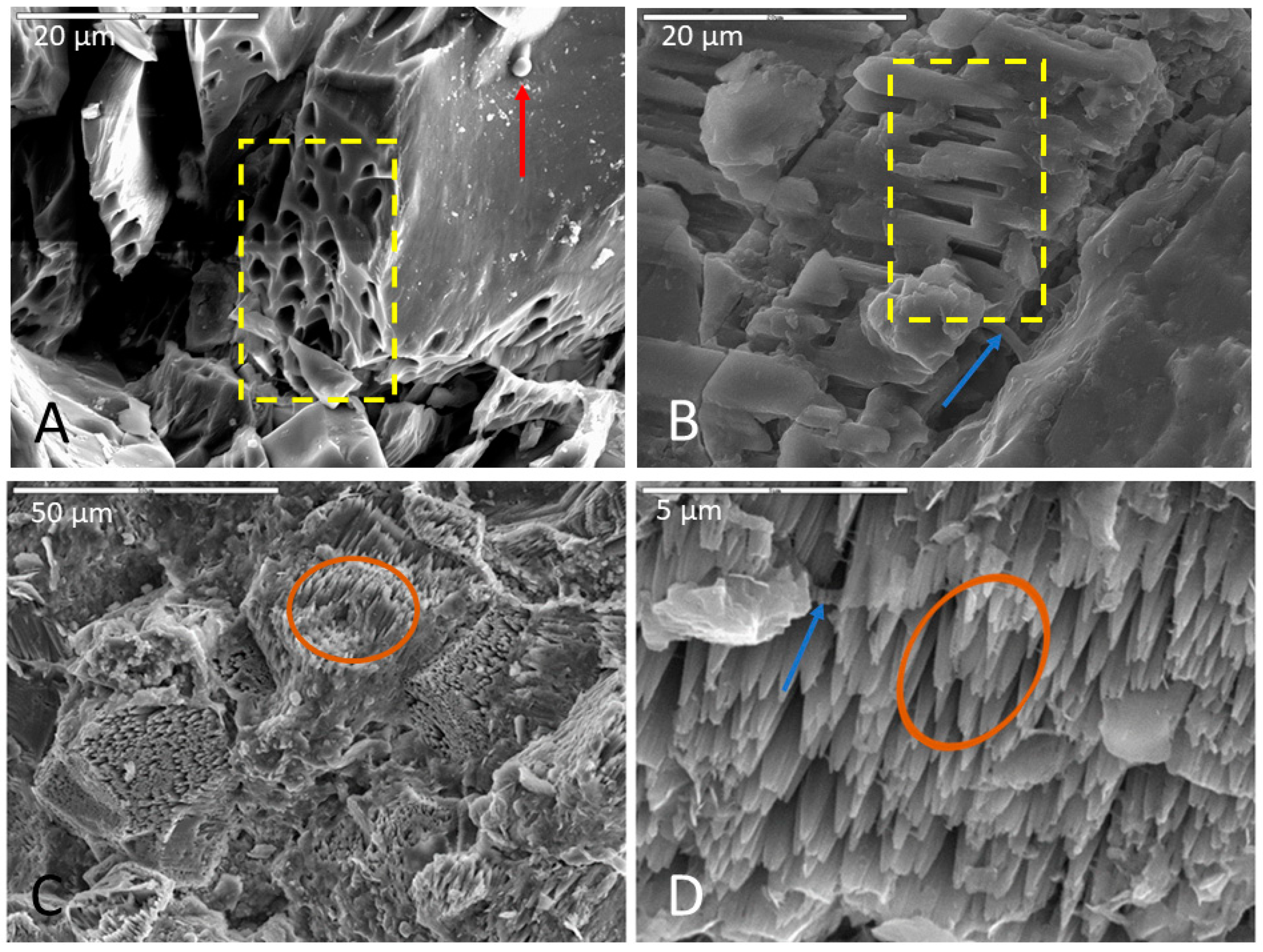 Life 11 00059 g002 Life 11 00059 g002