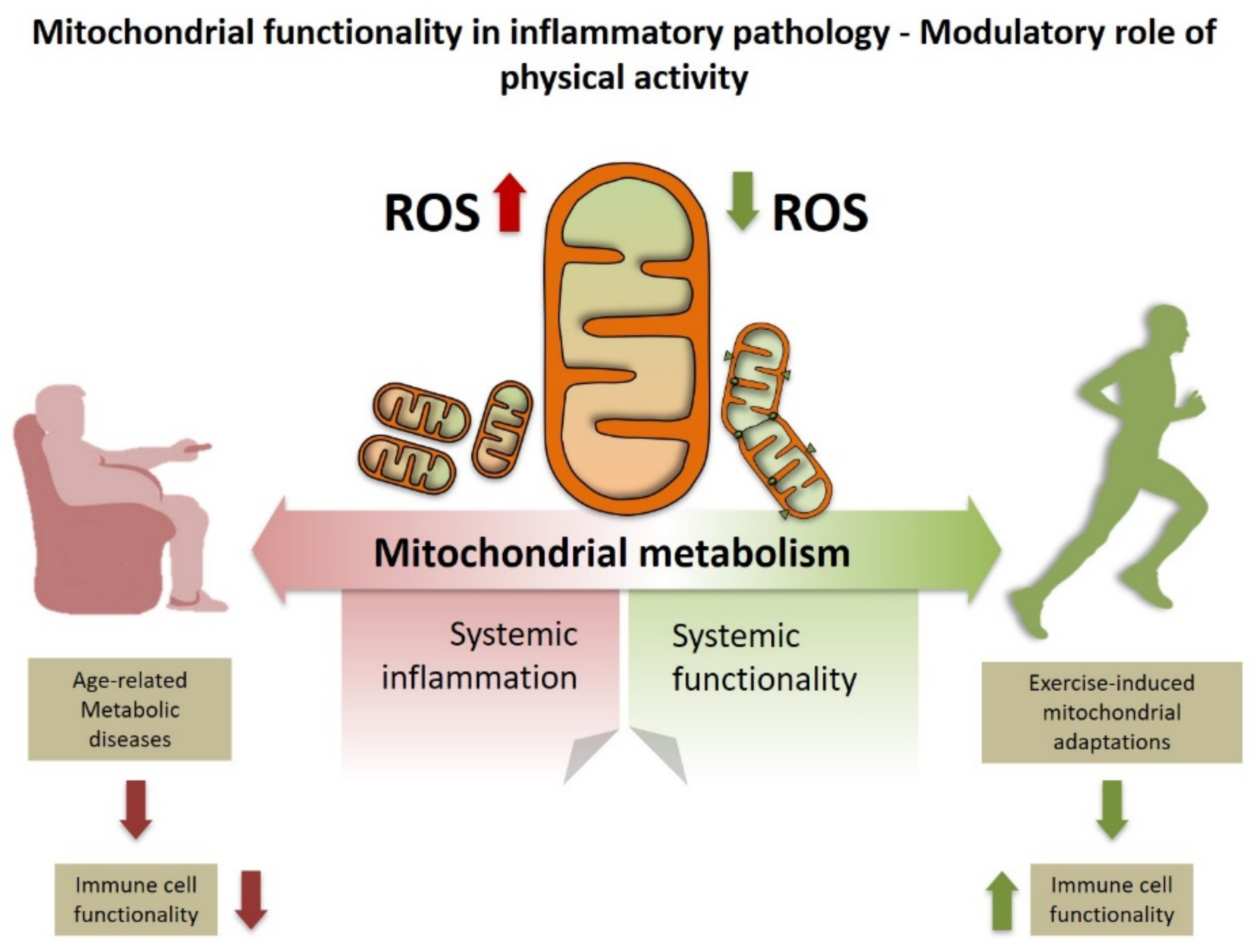 Life 11 00061 g001 Life 11 00061 g001