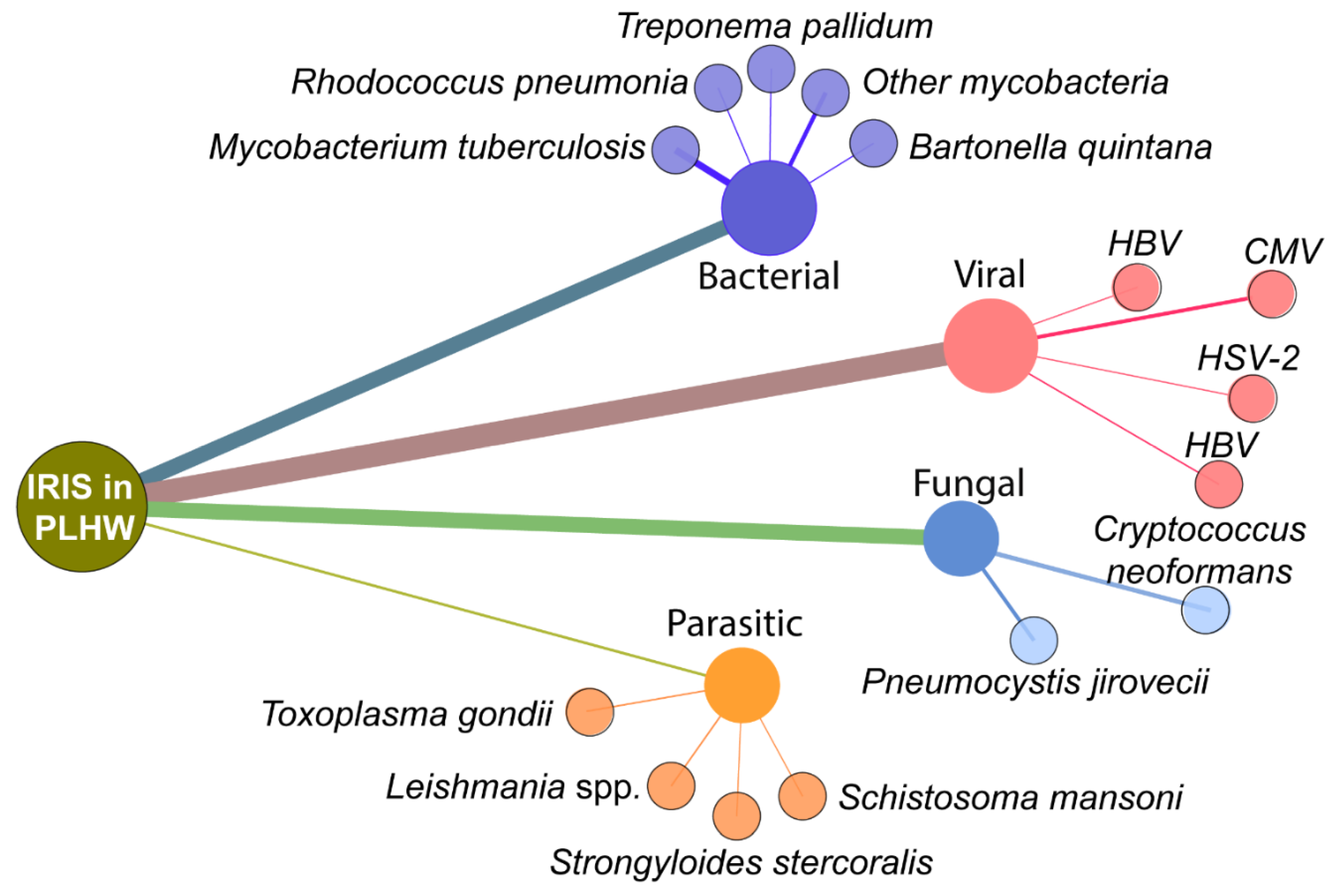 Life 11 00065 g002 Life 11 00065 g002