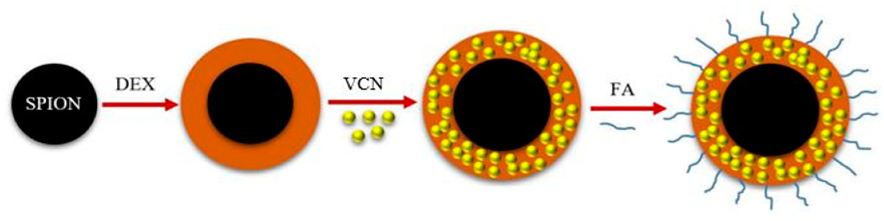 Life 11 00071 sch001