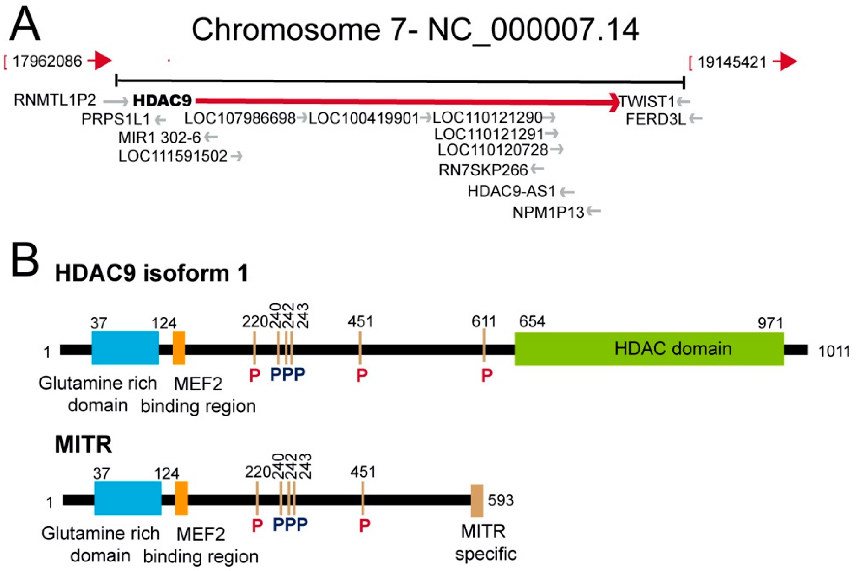 Life 11 00090 g001 Life 11 00090 g001