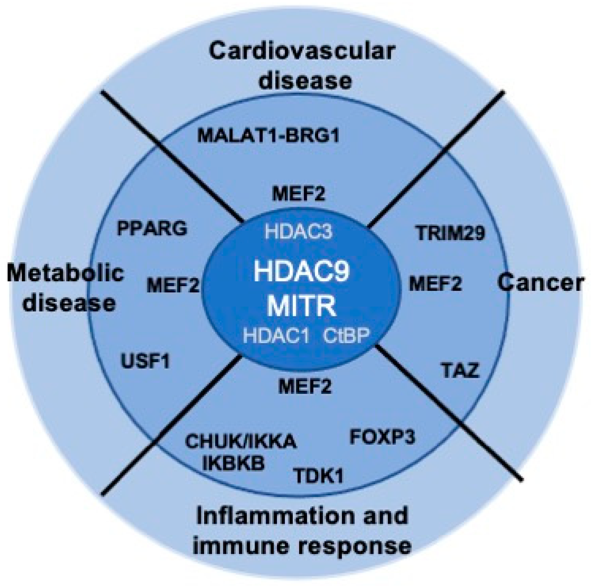 Life 11 00090 g003 Life 11 00090 g003
