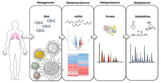 Life 11 00094 g001 550