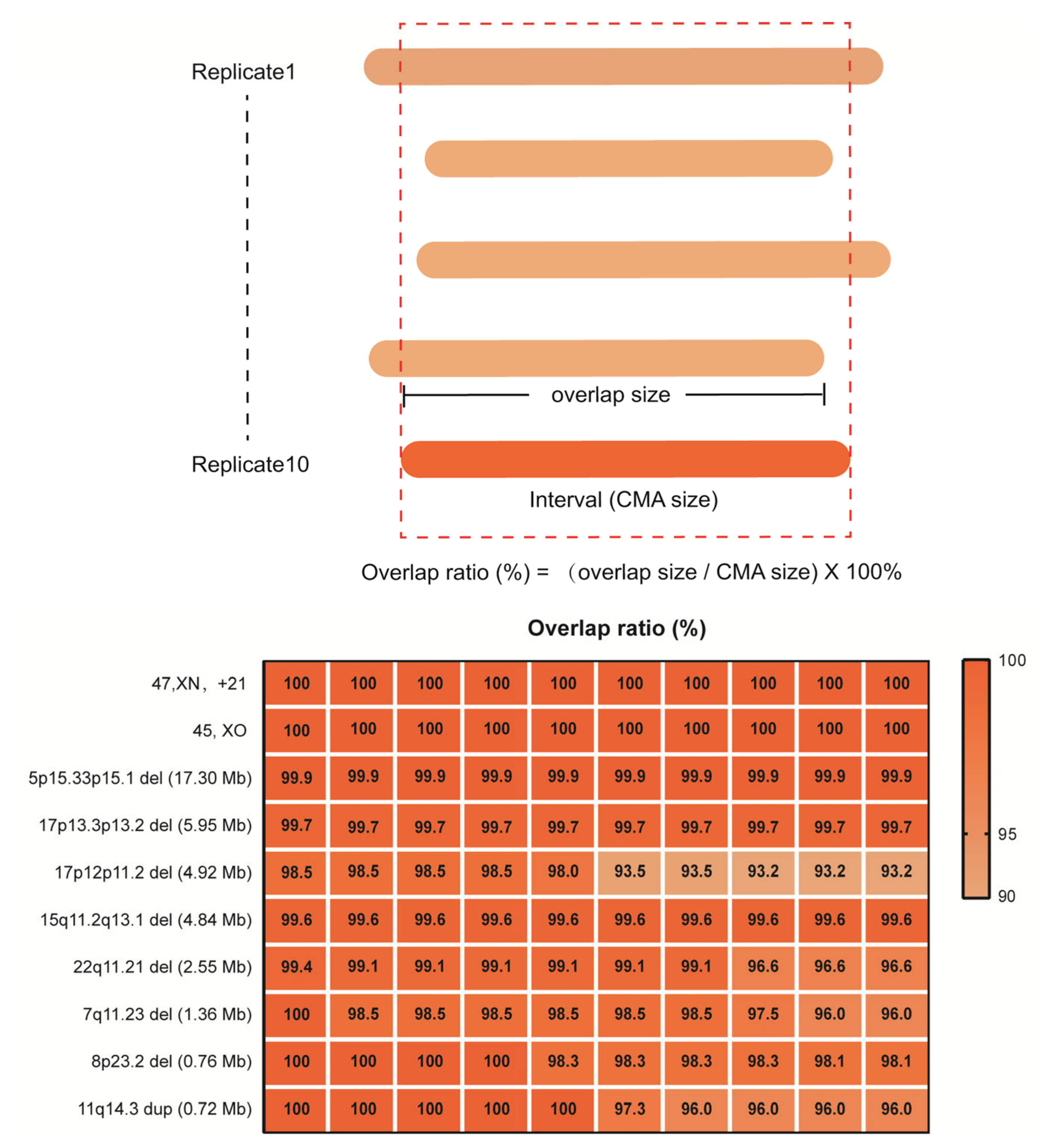 Life 11 00098 g005 Life 11 00098 g005