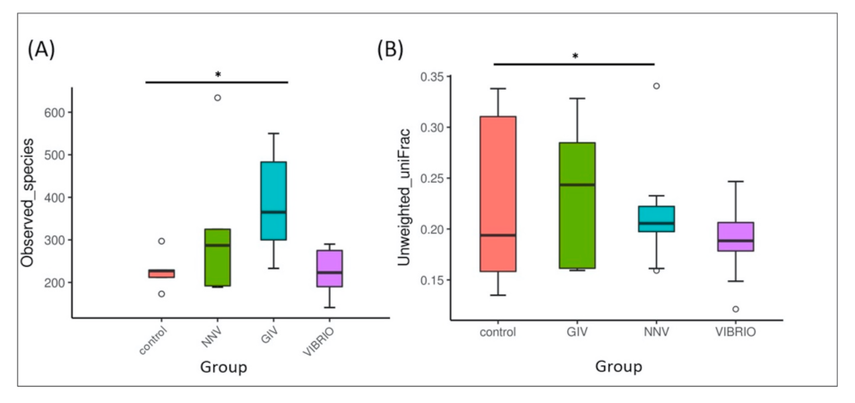 Life 11 00099 g002 Life 11 00099 g002