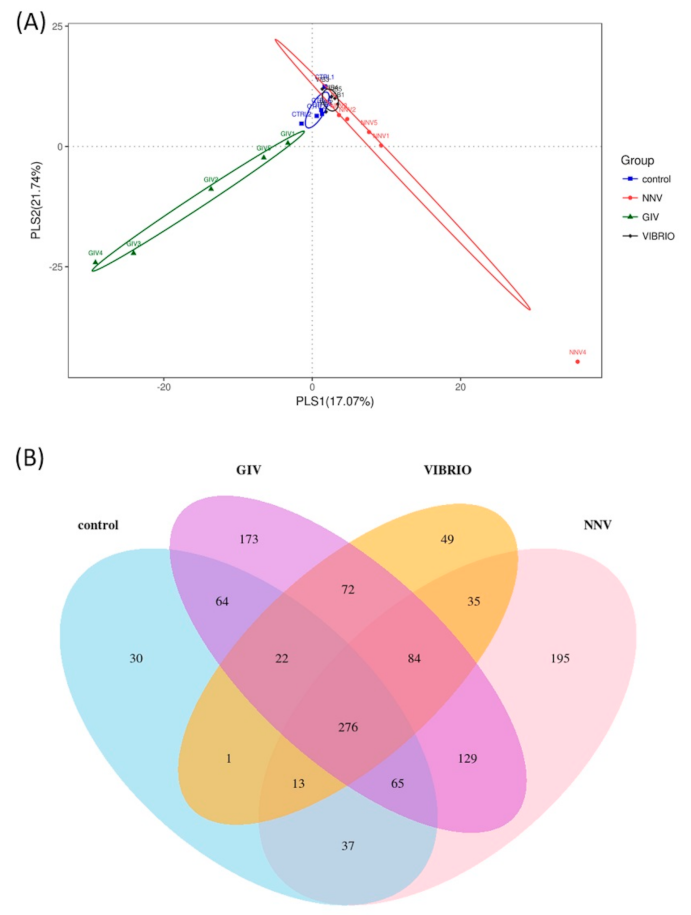 Life 11 00099 g003 Life 11 00099 g003