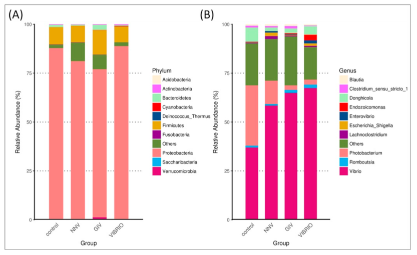Life 11 00099 g004 Life 11 00099 g004
