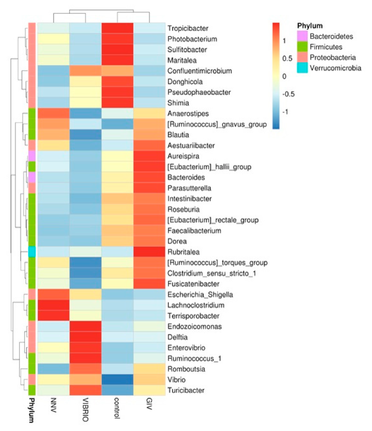 Life 11 00099 g005 Life 11 00099 g005