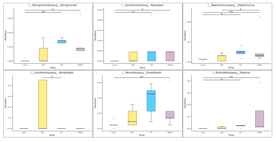 Life 11 00099 g007 Life 11 00099 g007