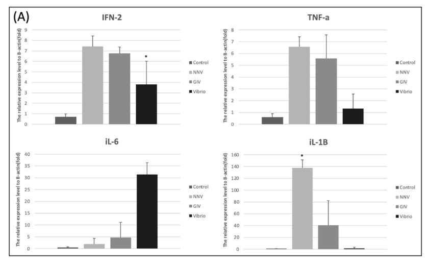 Life 11 00099 g008a Life 11 00099 g008a