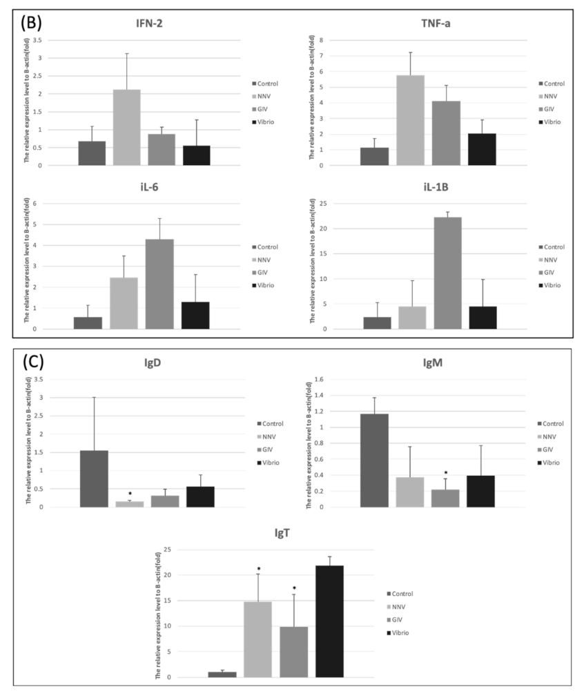 Life 11 00099 g008b Life 11 00099 g008b