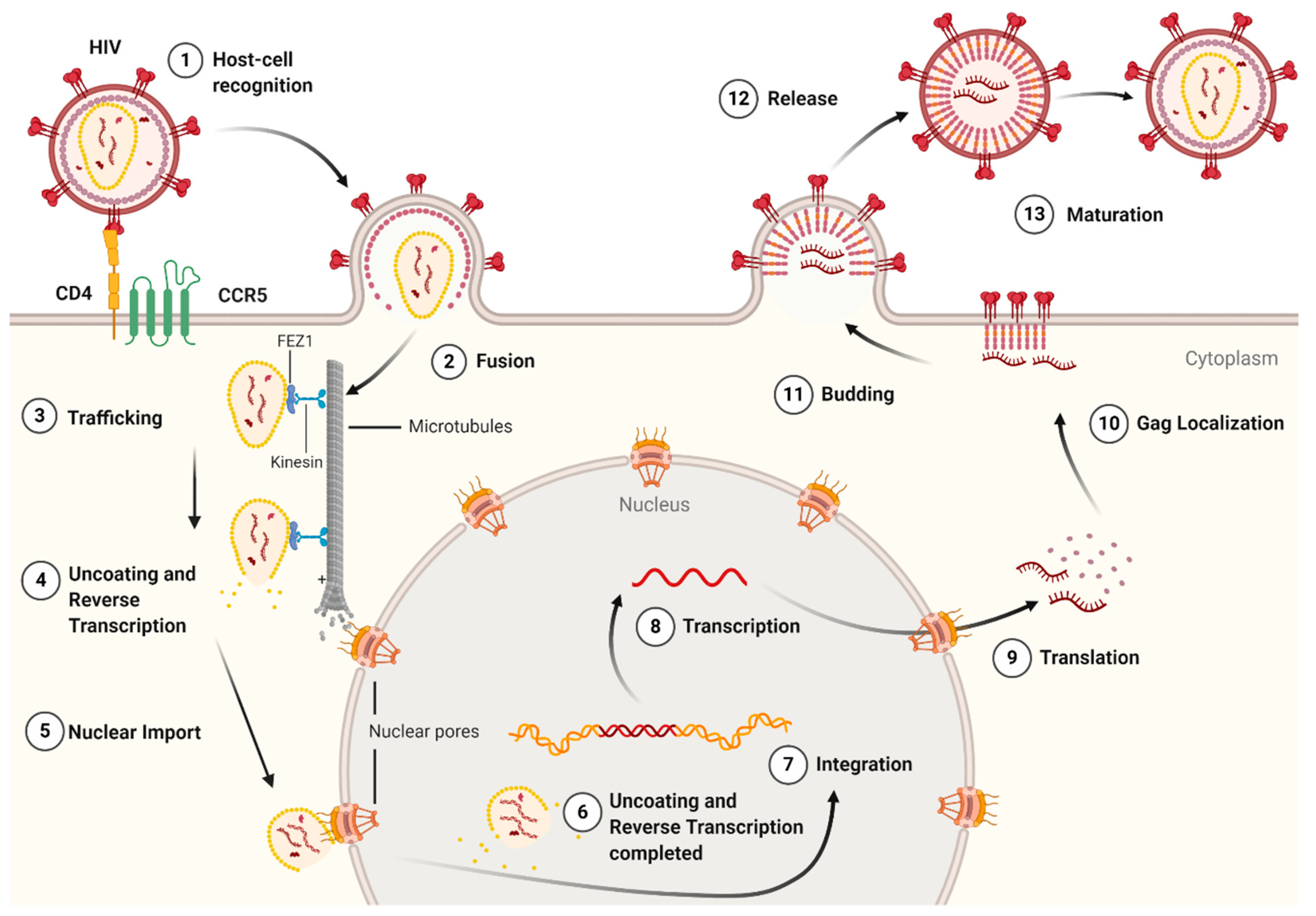 Life 11 00100 g003 Life 11 00100 g003