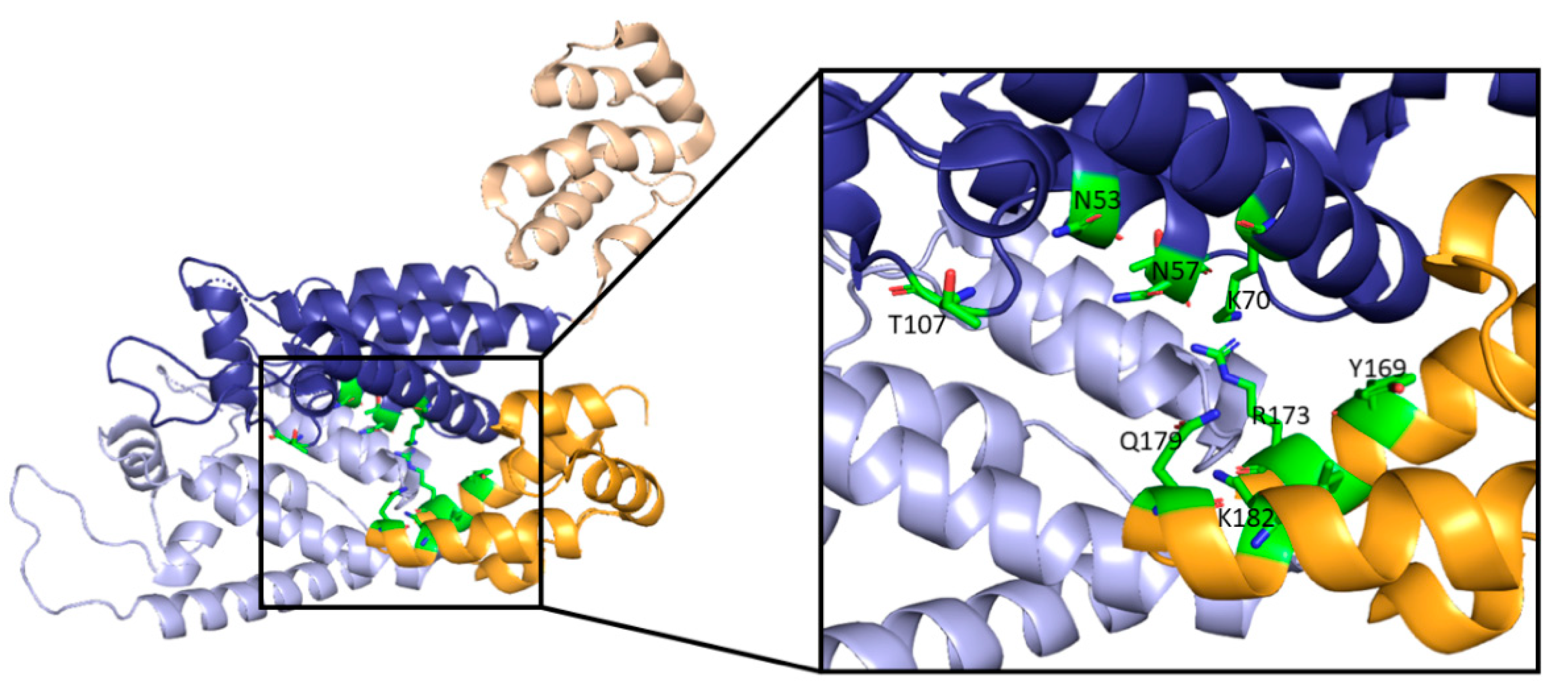 Life 11 00100 g006 Life 11 00100 g006