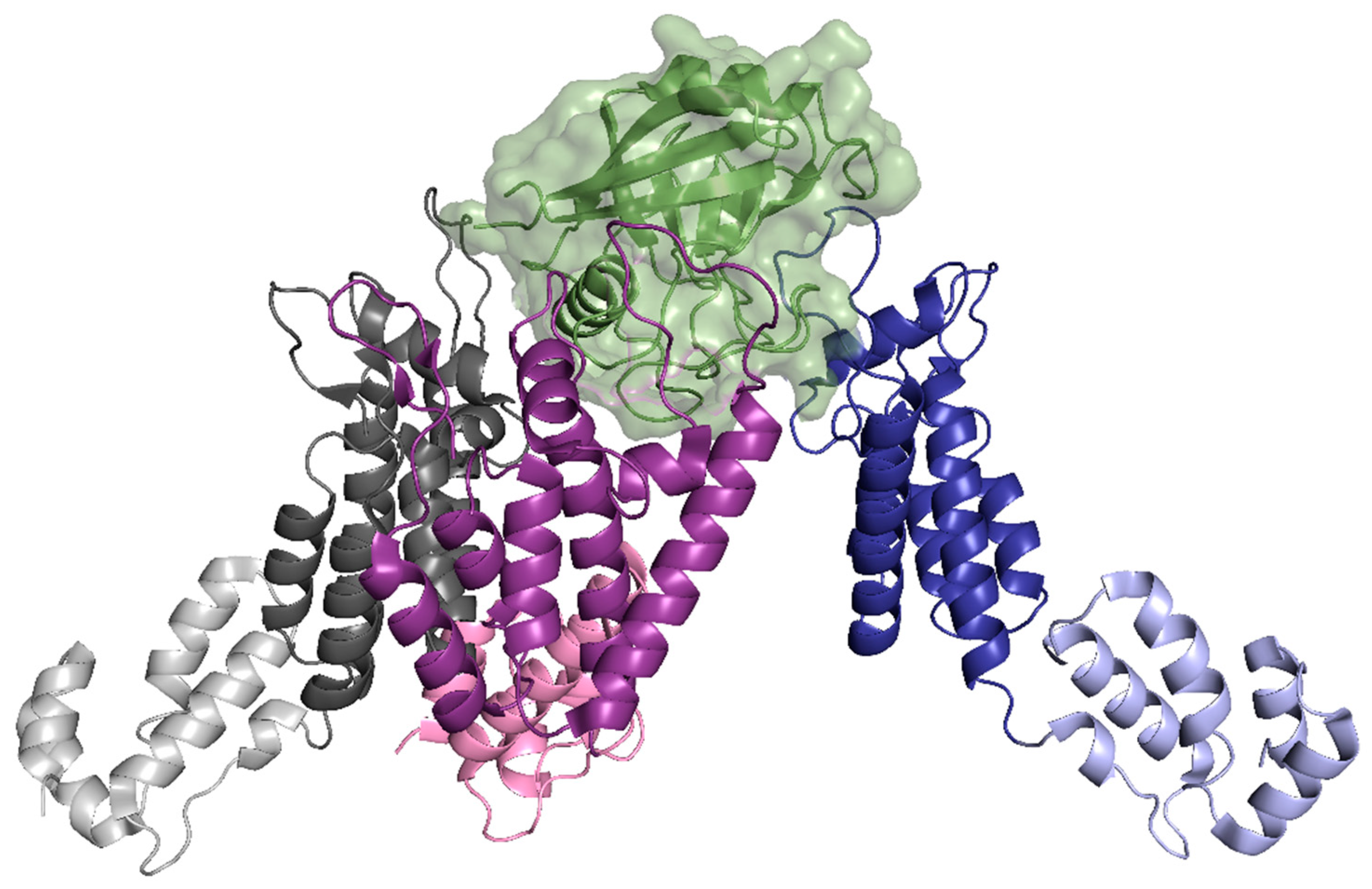 Life 11 00100 g008 Life 11 00100 g008