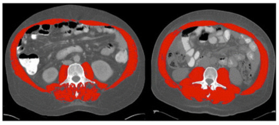 Life 11 00119 g001 550