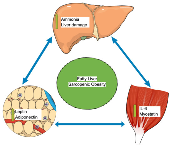 Life 11 00119 g002 550
