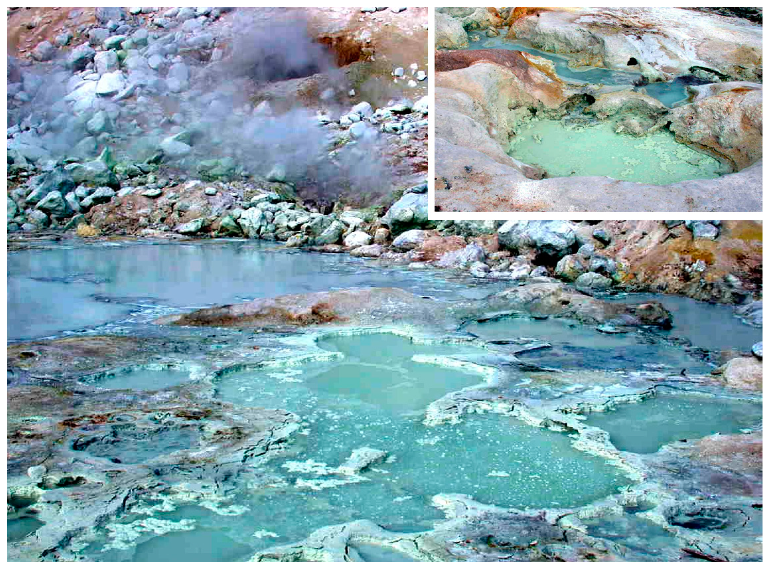 Life 11 00134 g001 Life 11 00134 g001