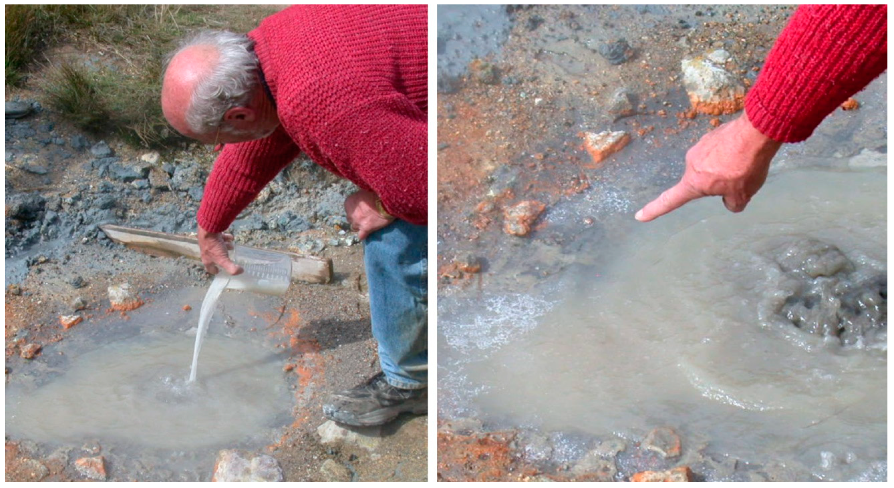 Life 11 00134 g002 Life 11 00134 g002