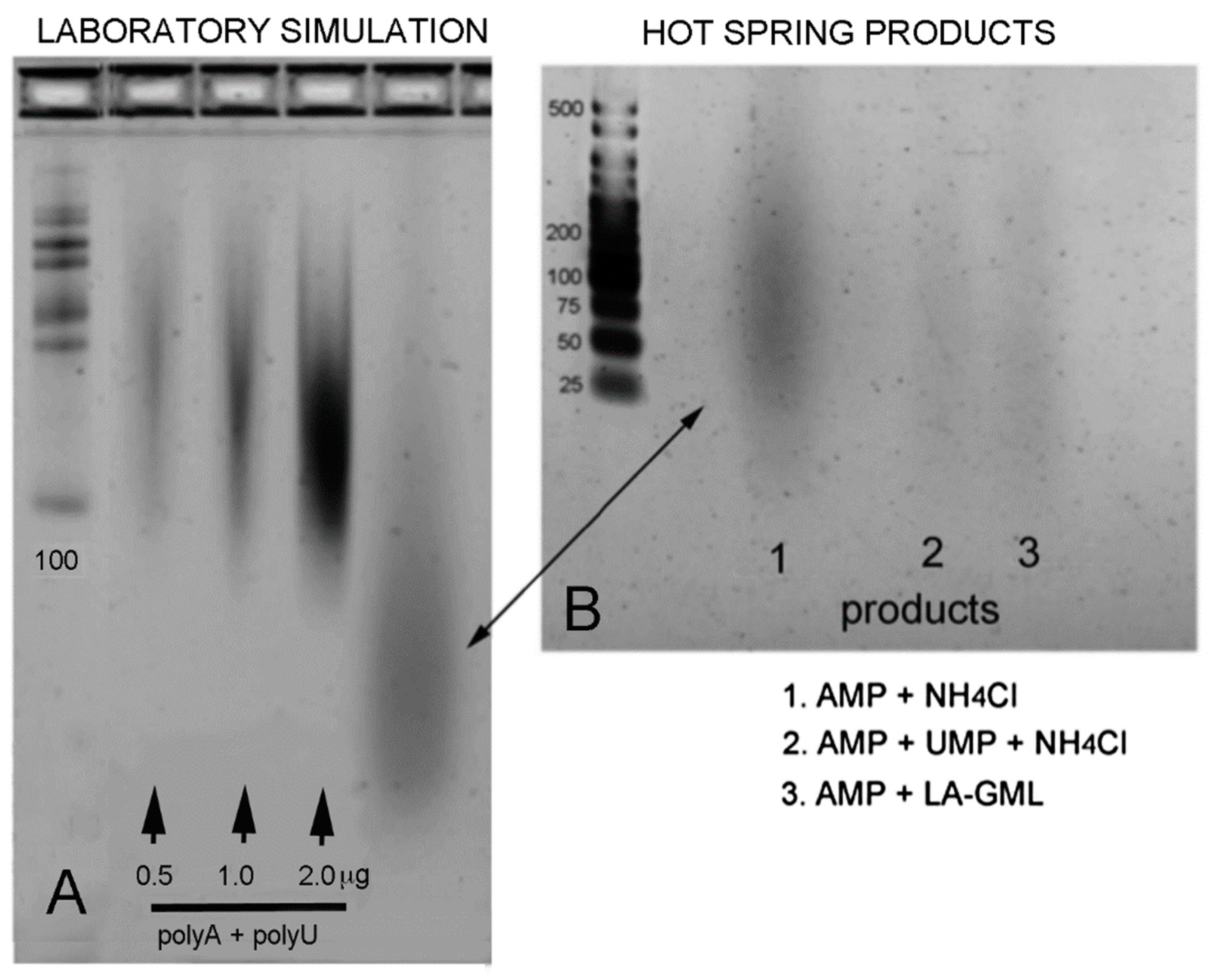 Life 11 00134 g007 Life 11 00134 g007