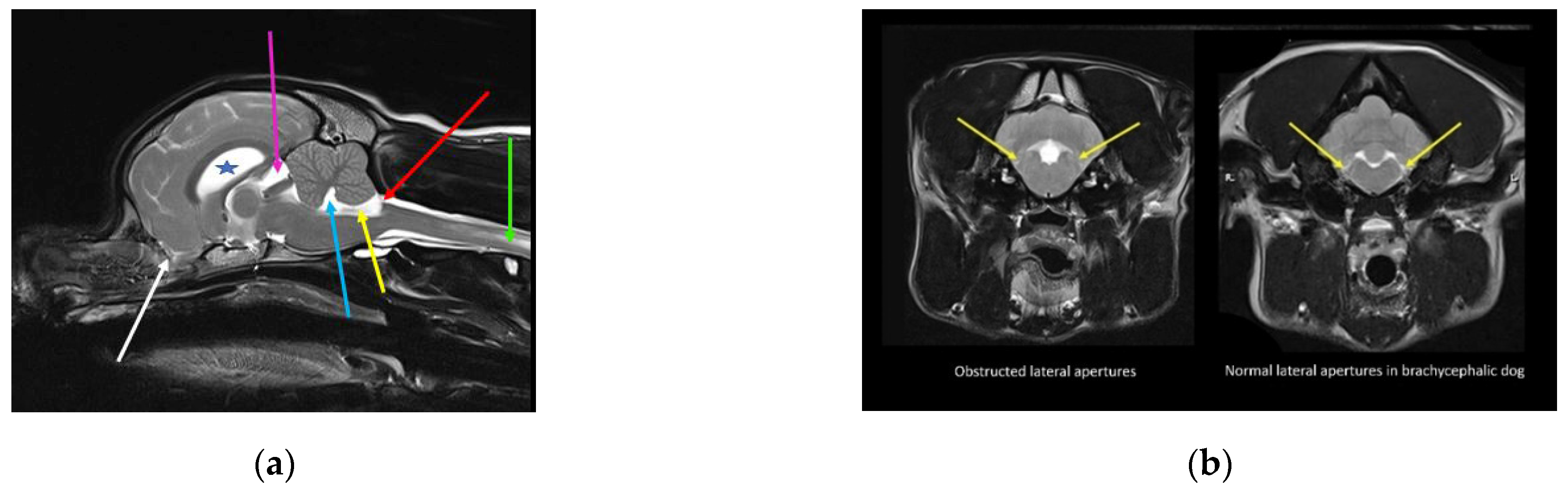 Life 11 00139 g002 Life 11 00139 g002