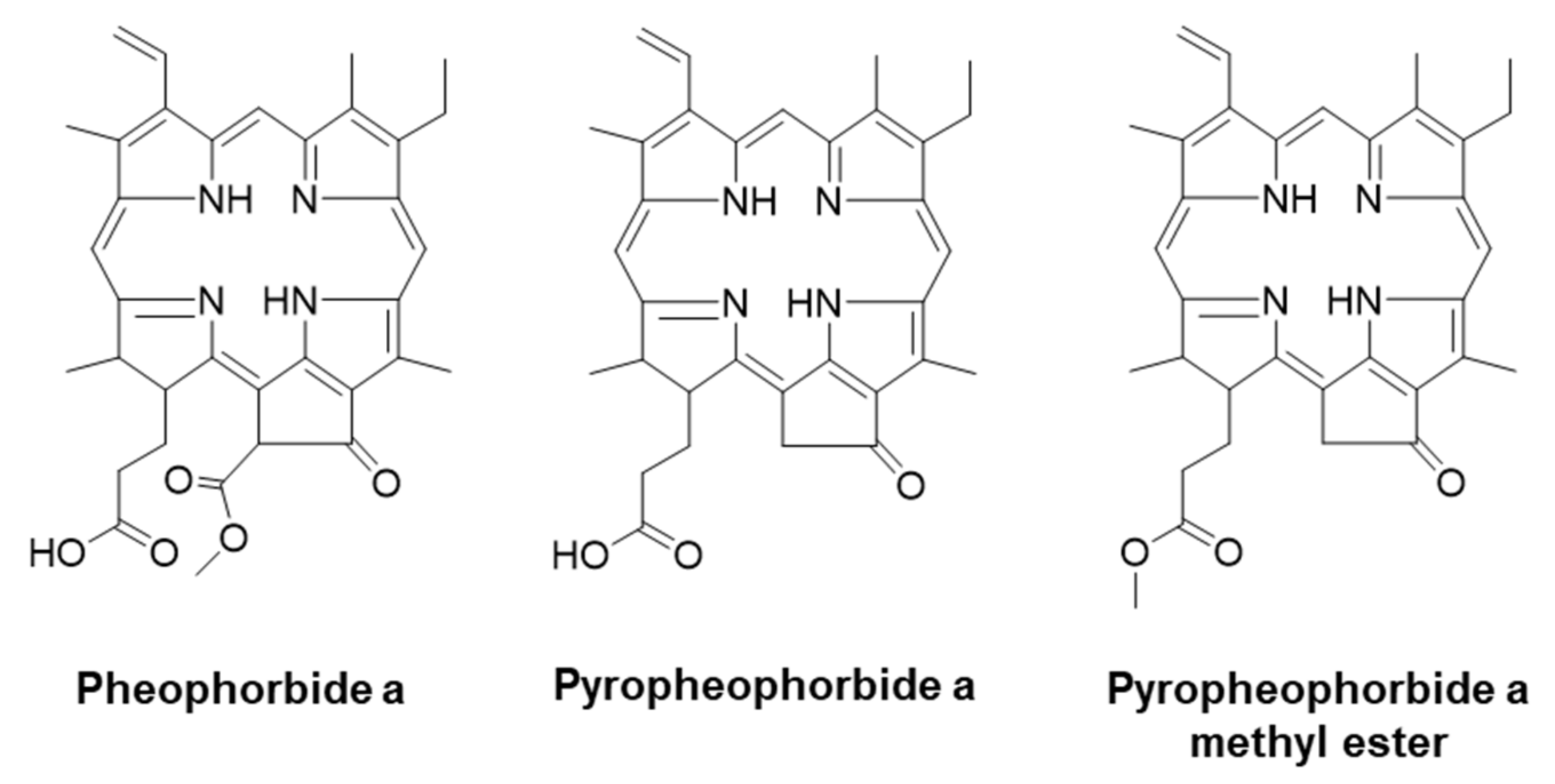 Life 11 00147 g001 Life 11 00147 g001