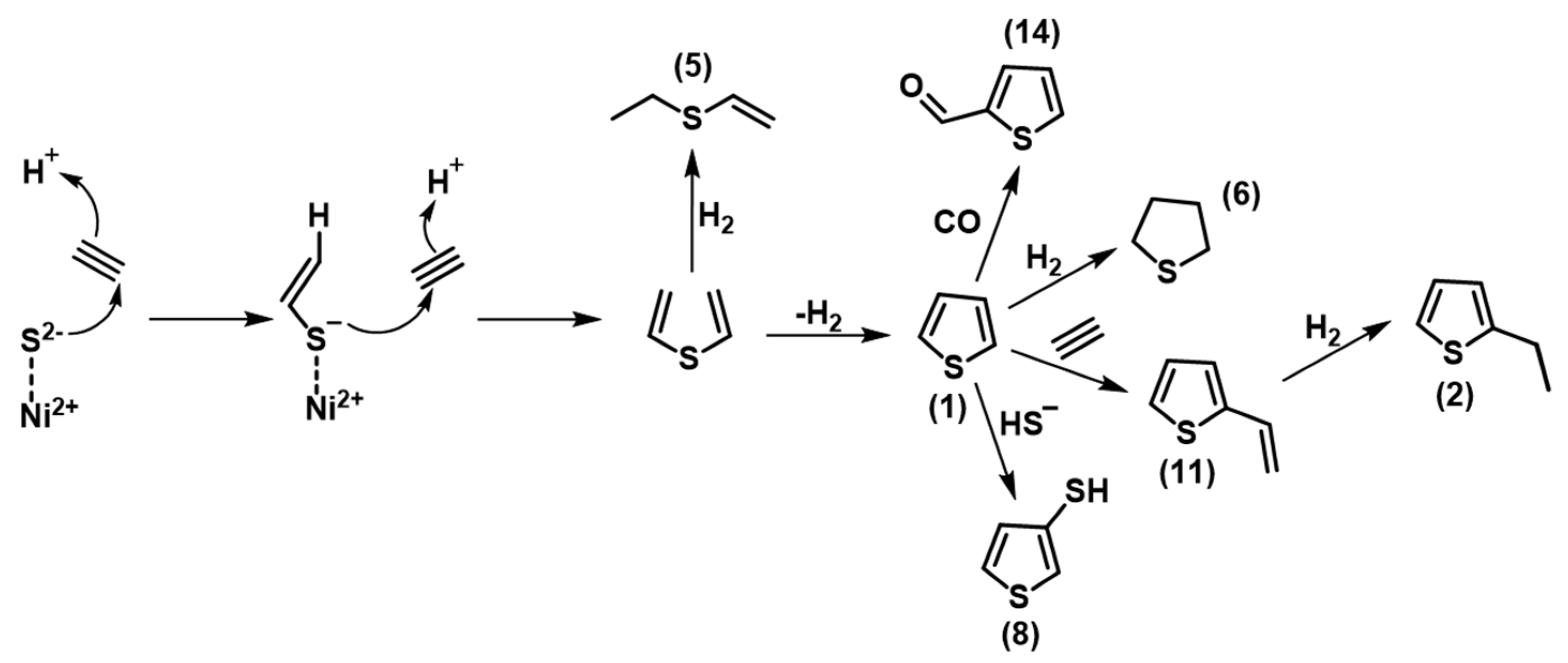 Life 11 00149 g004 Life 11 00149 g004