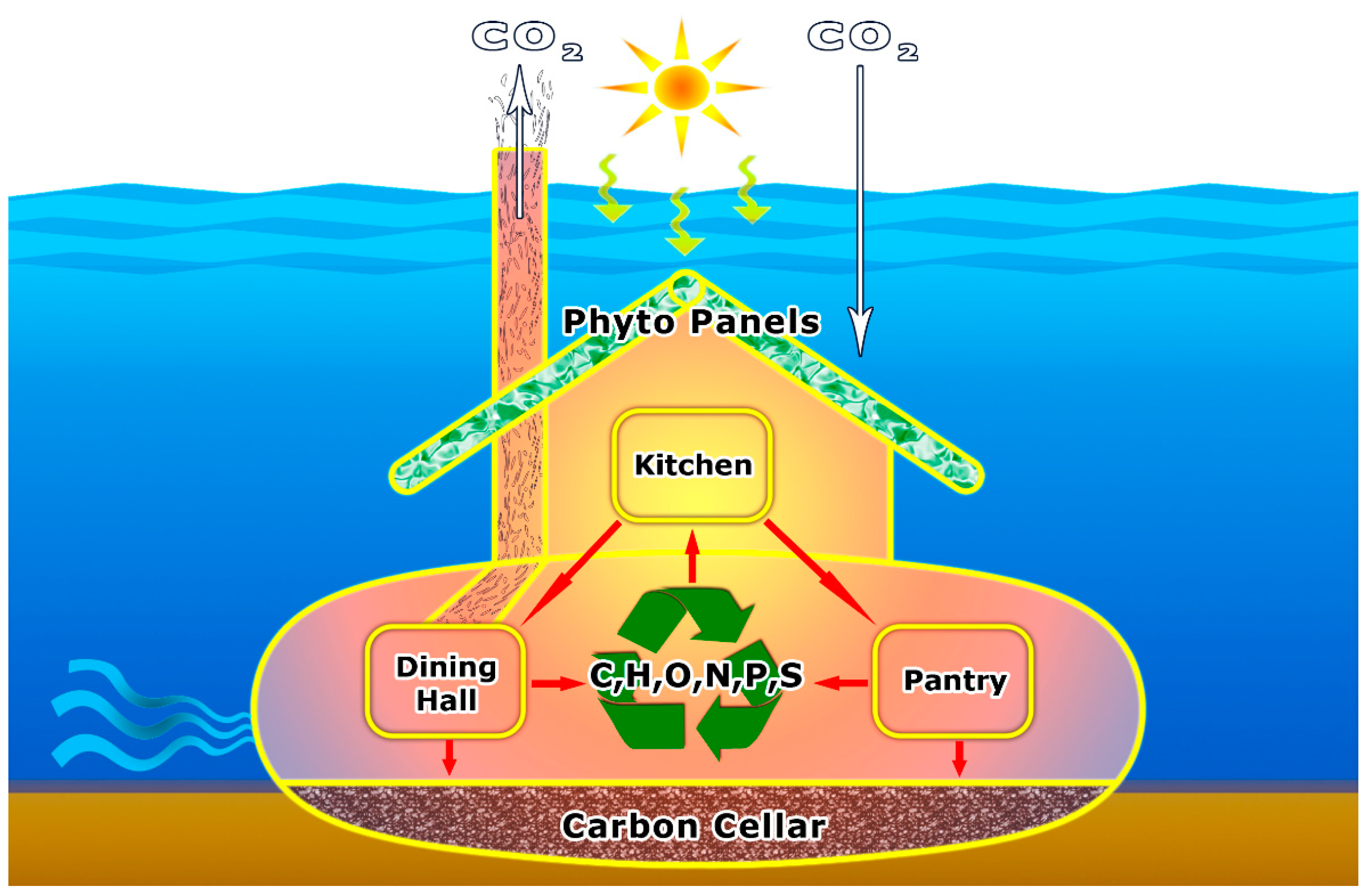 Life 11 00152 g001 Life 11 00152 g001