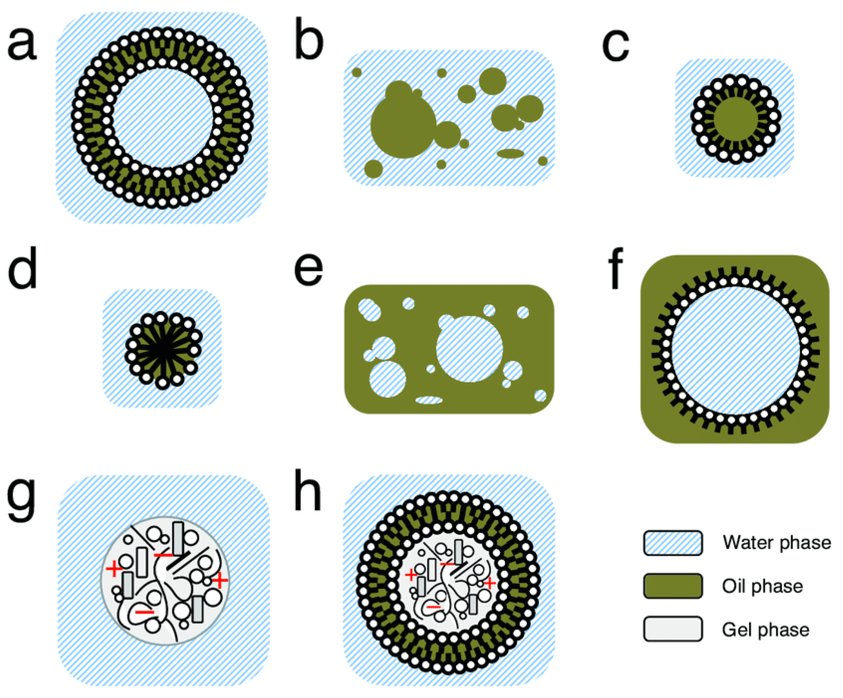Life 11 00154 g002 Life 11 00154 g002