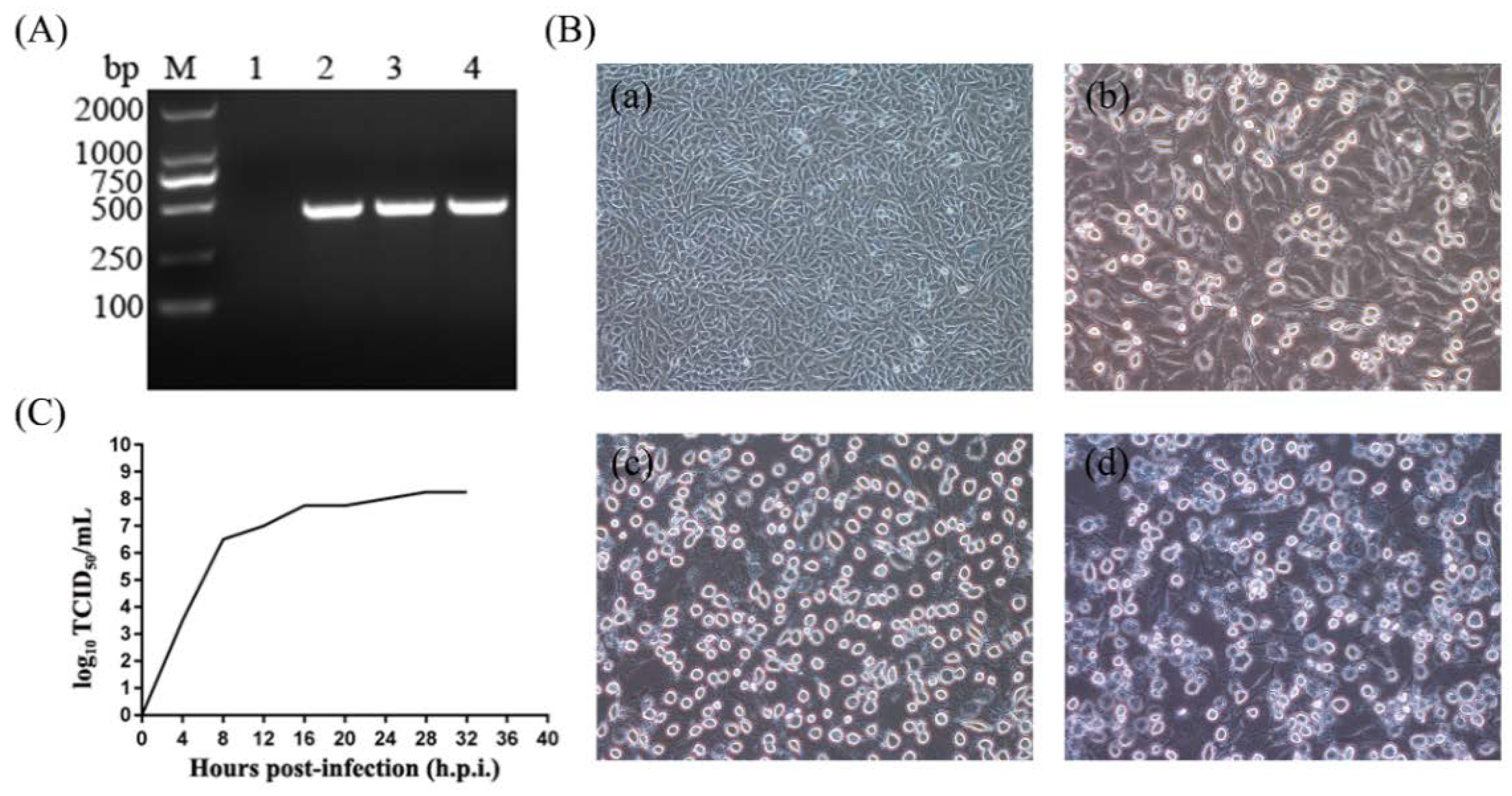 Life 11 00157 g001 Life 11 00157 g001