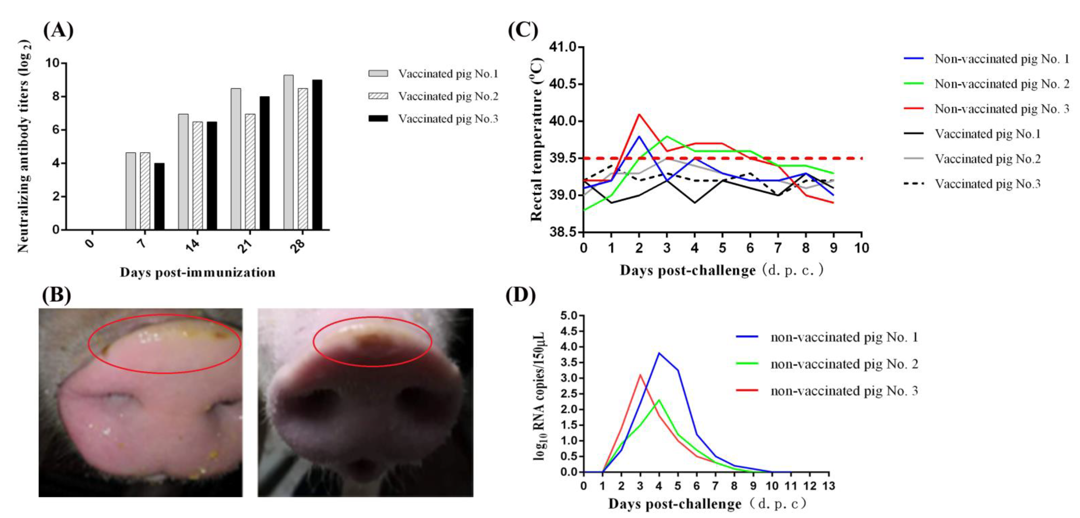 Life 11 00157 g004 Life 11 00157 g004