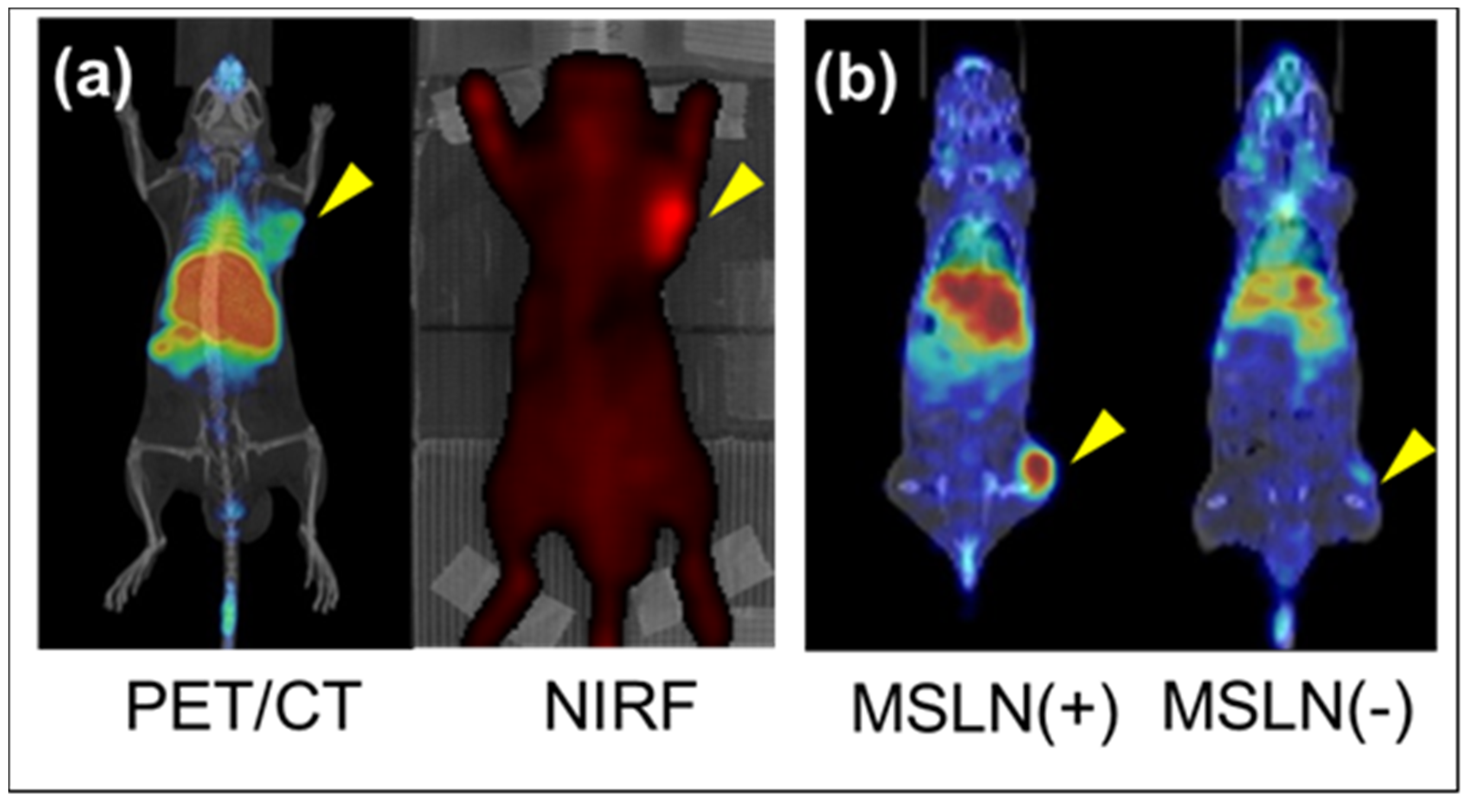 Life 11 00158 g002 Life 11 00158 g002