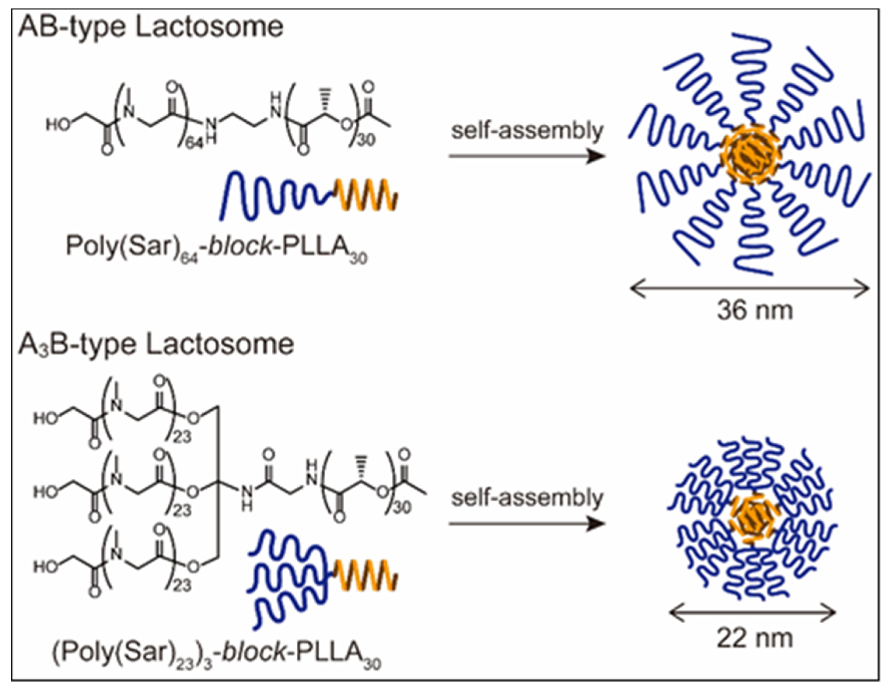 Life 11 00158 g005 Life 11 00158 g005